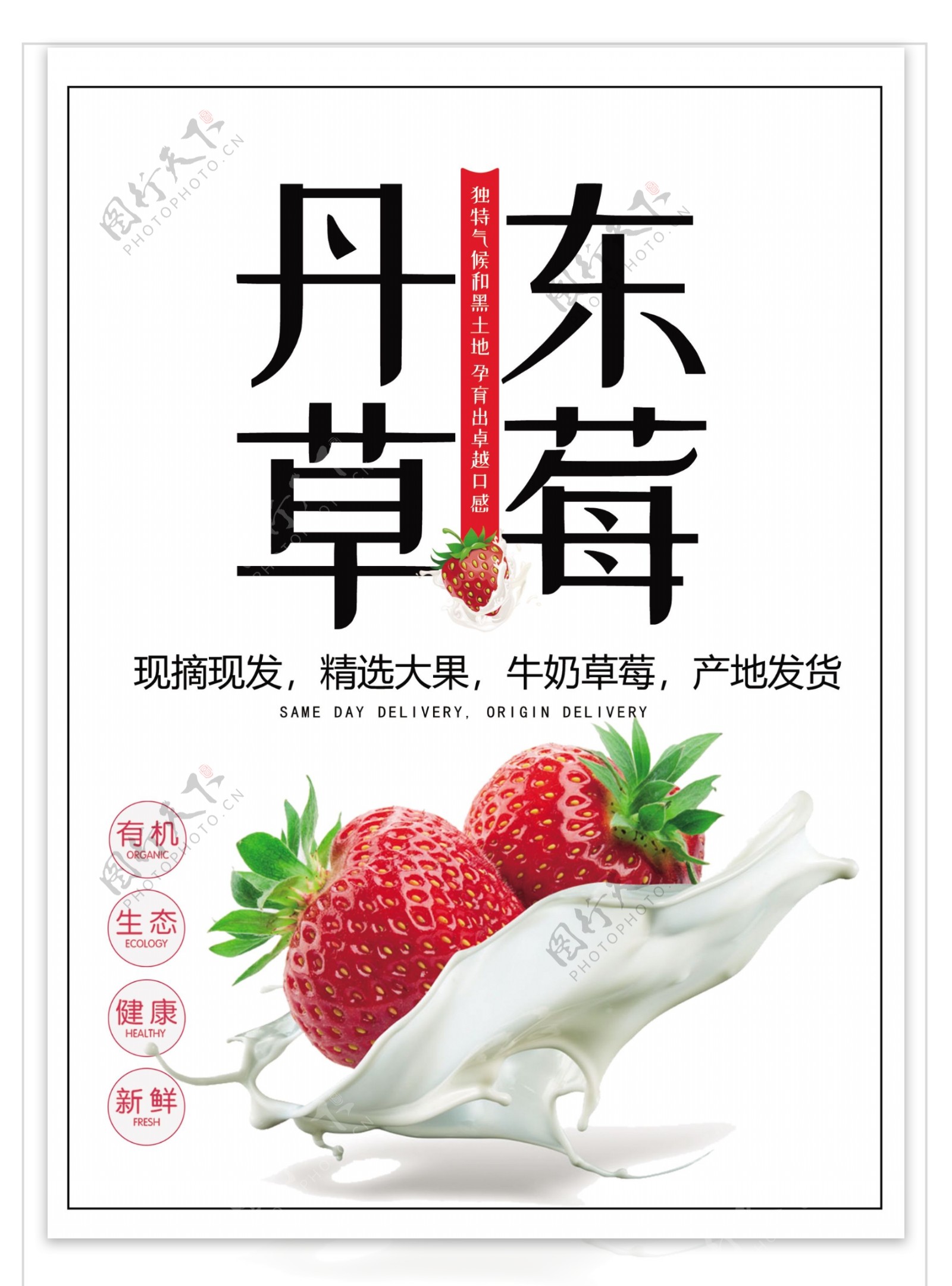 丹东九九草莓海报