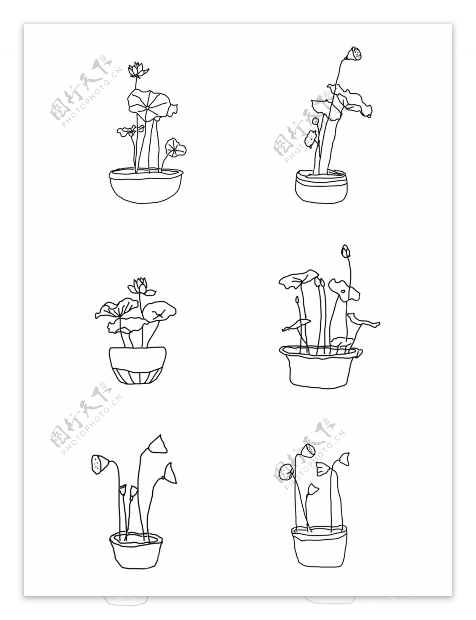 线稿手绘荷花植物盆栽荷叶莲子插画元素线描