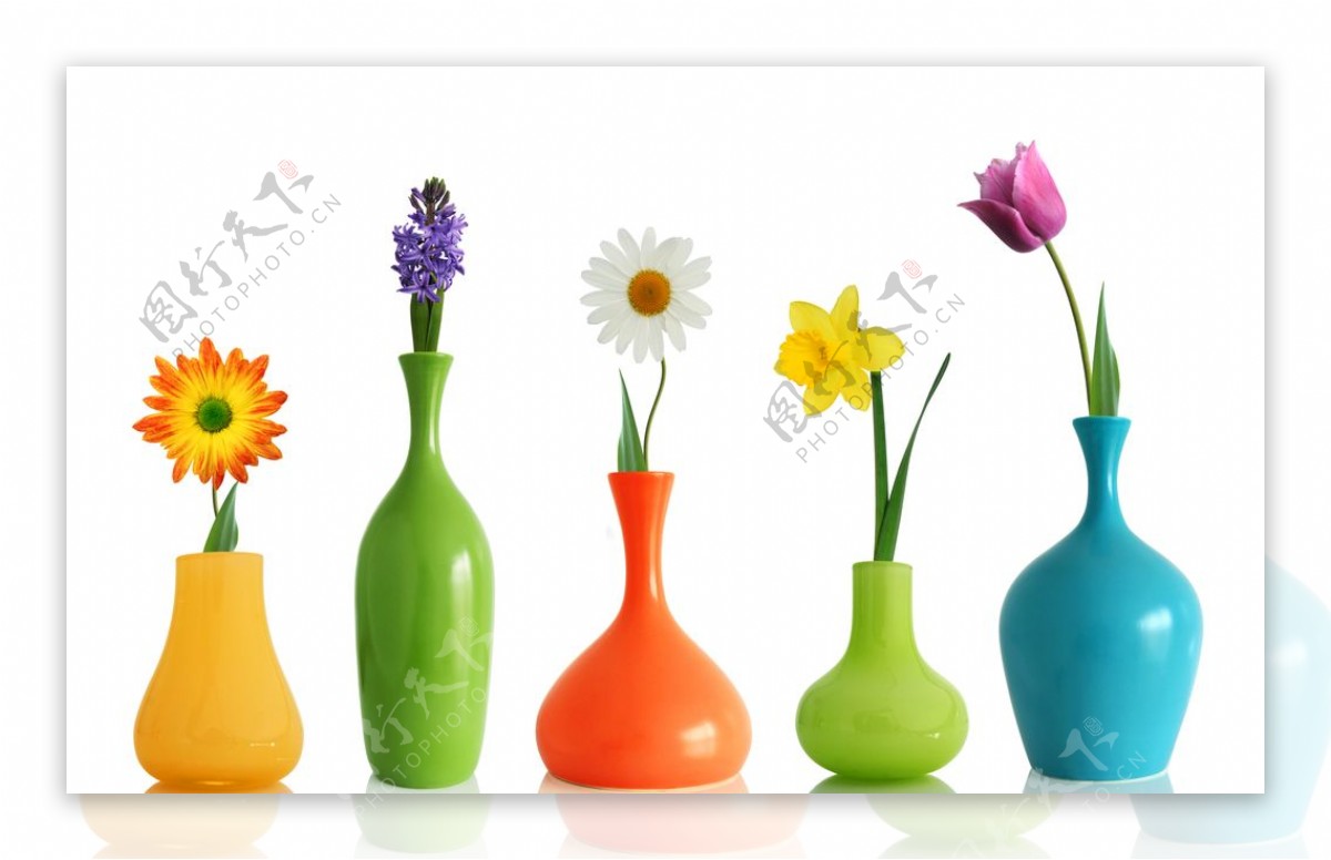 五彩缤纷的花瓶颜色