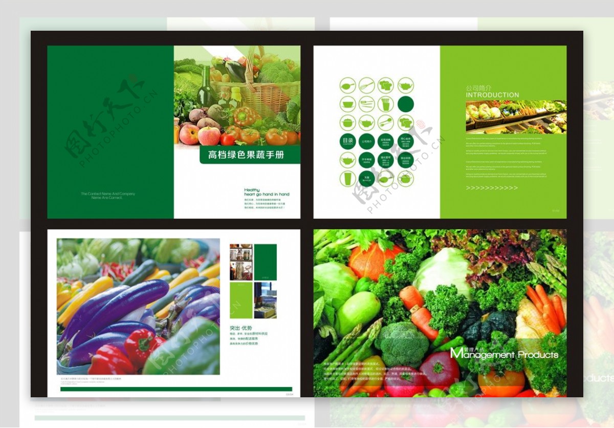 果蔬画册设计