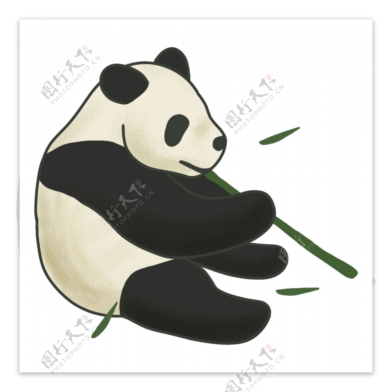 坐着吃竹子的可爱胖熊猫