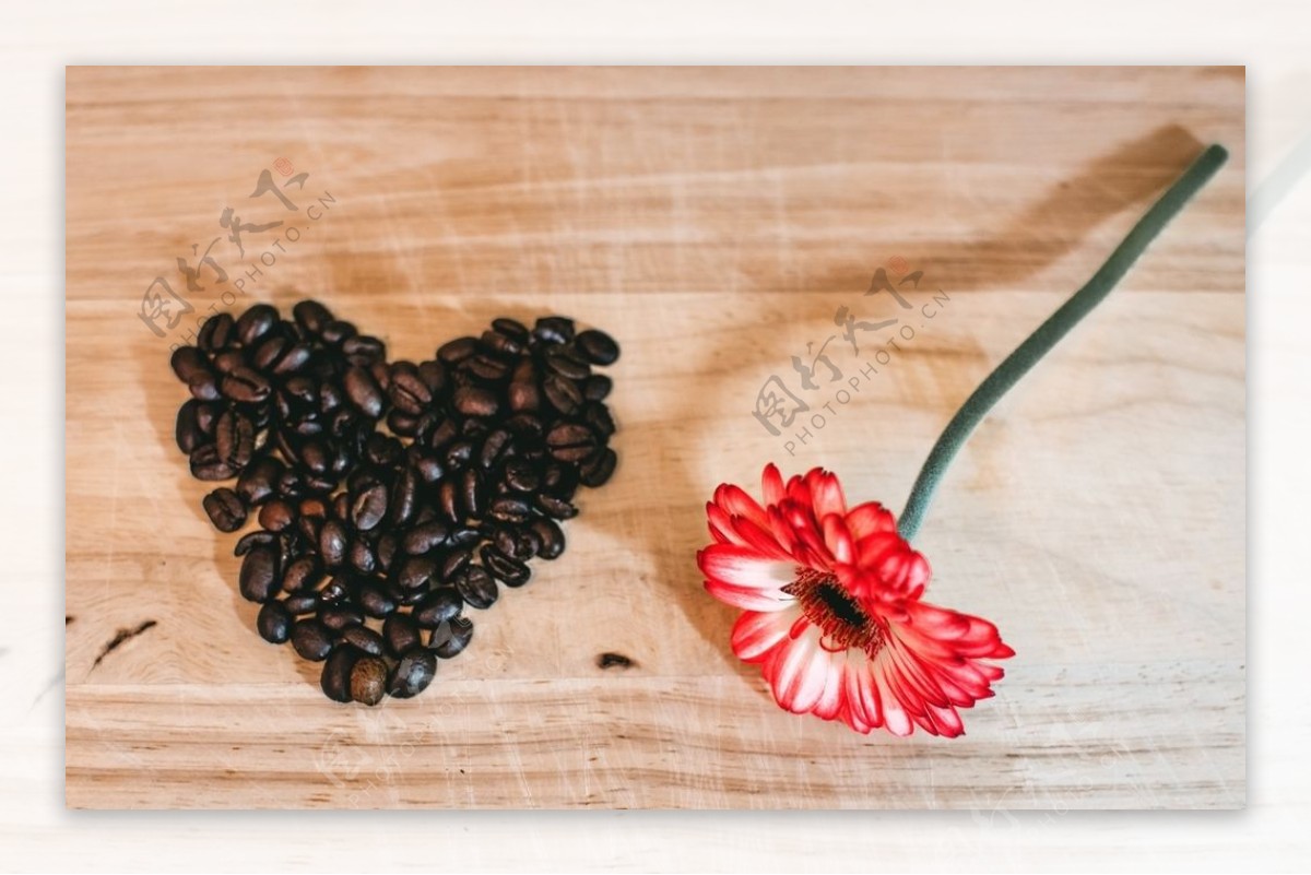 咖啡和花儿的顶视图