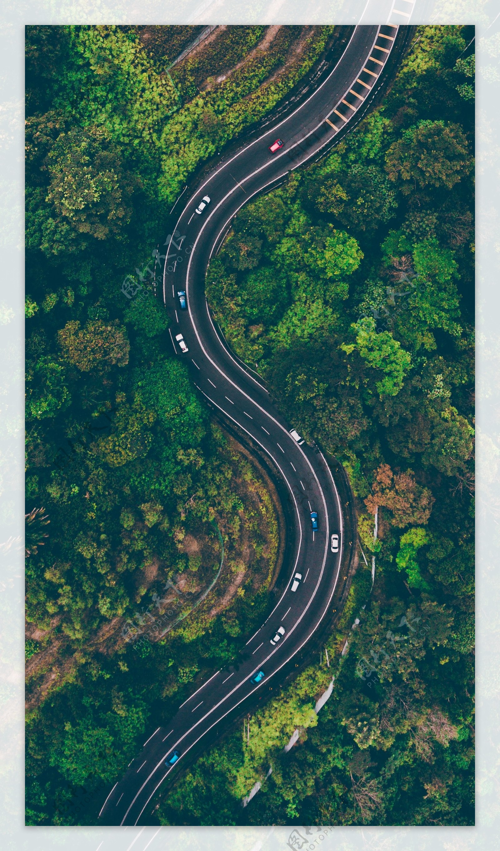 俯瞰森林公路