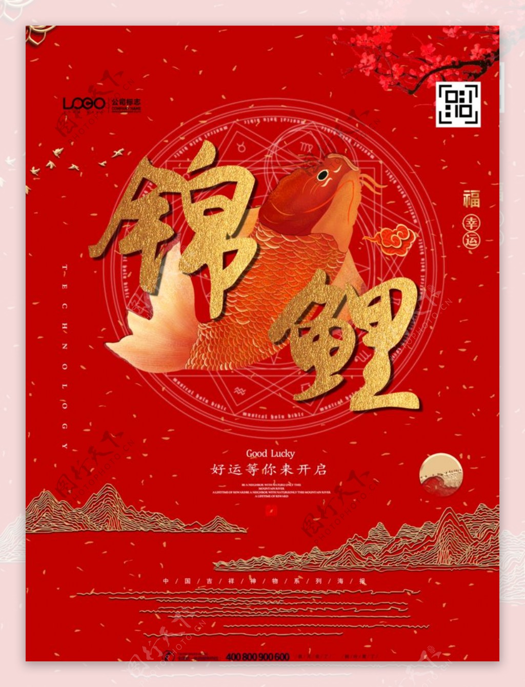 中国锦鲤