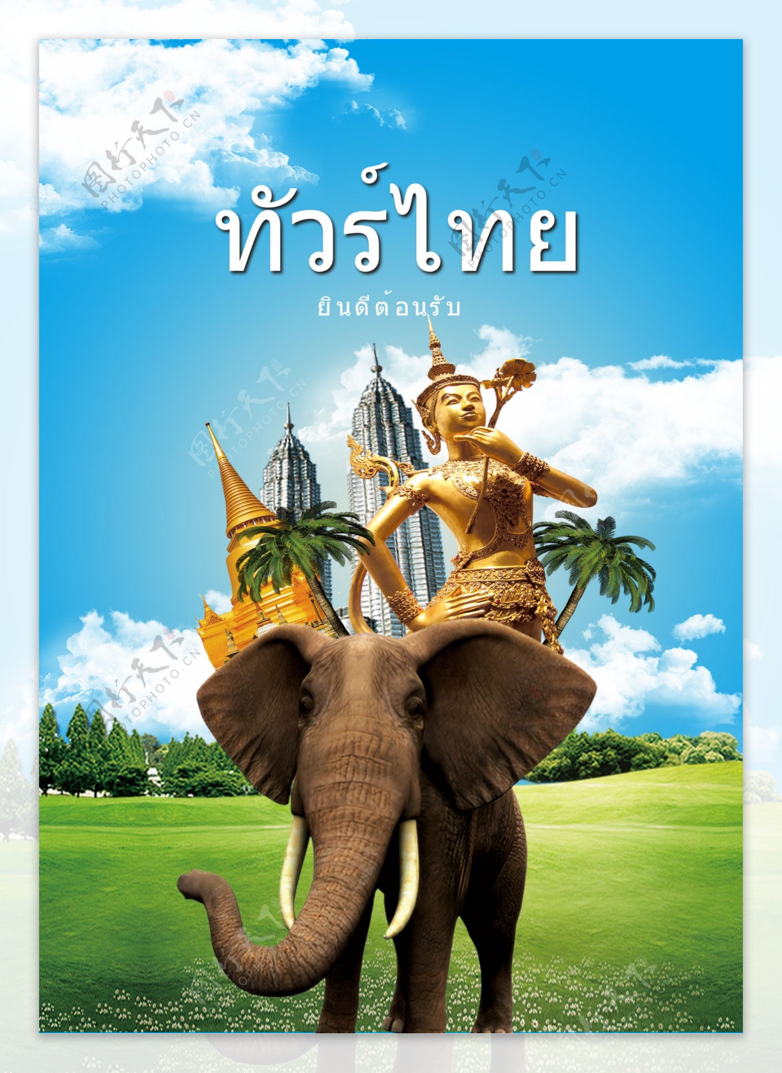 在泰国的大象