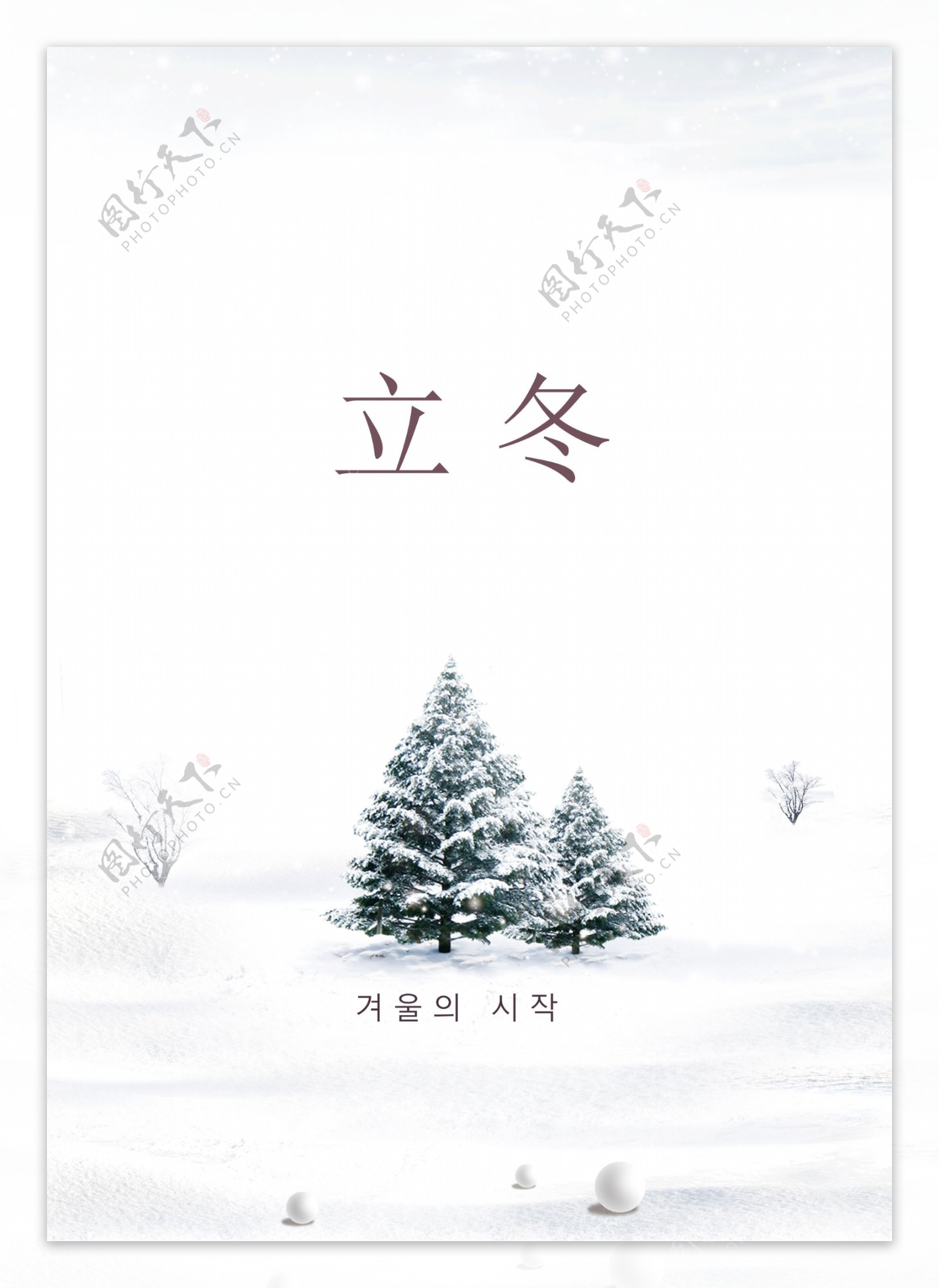 白色时尚简单的树雪视图冬天海报