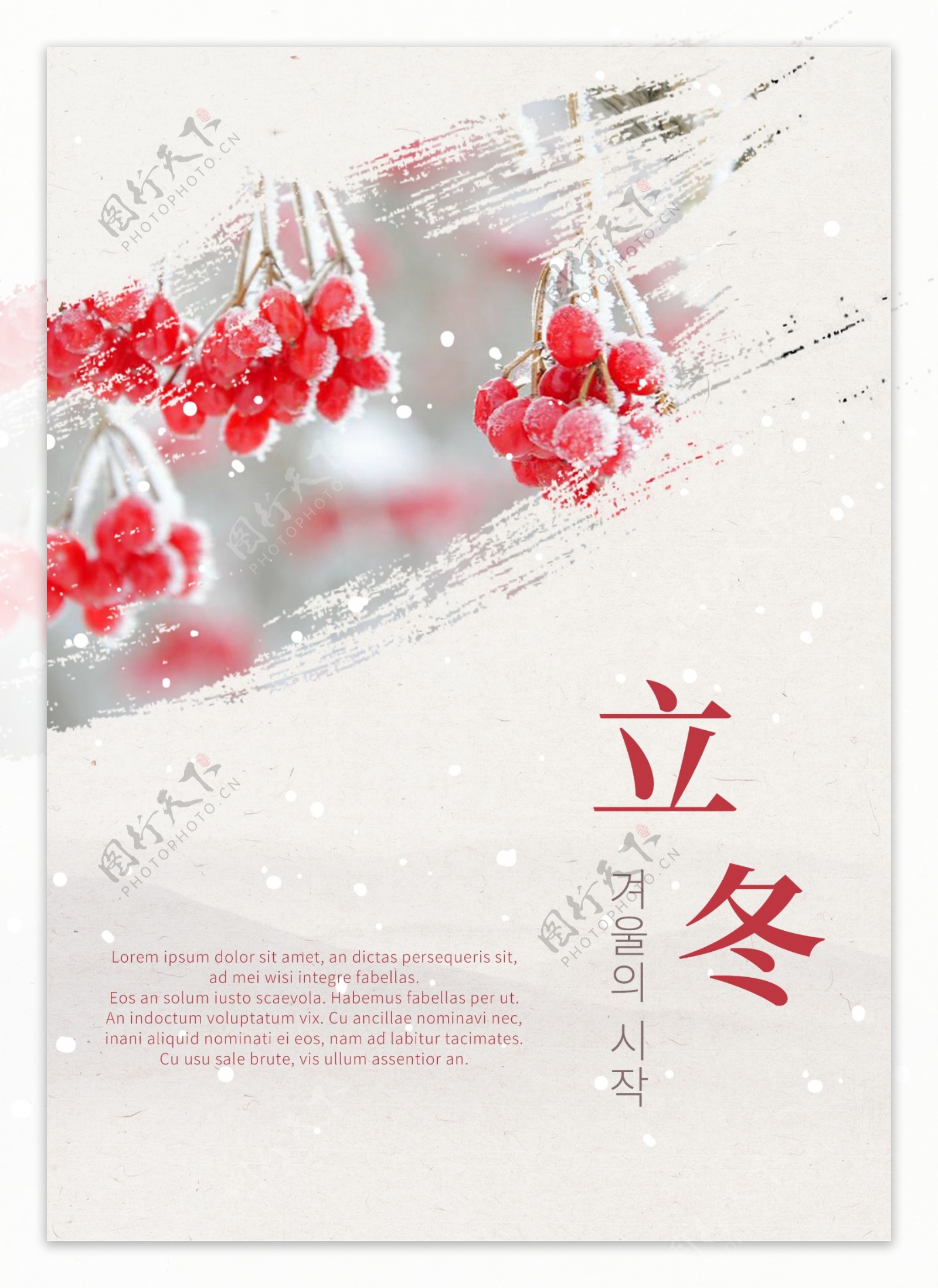 白色红色果子时尚冬天海报