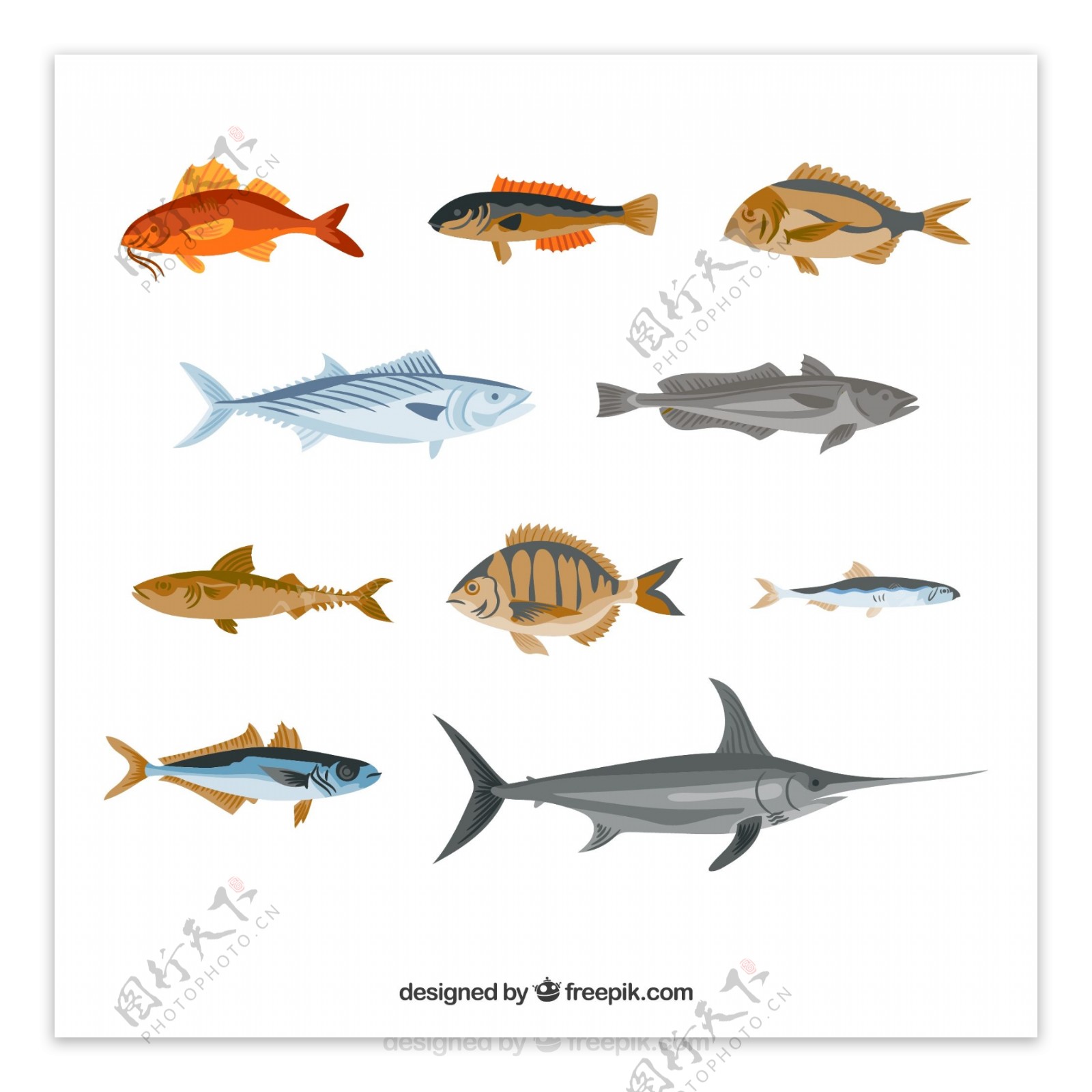 10款彩绘逼真鱼类设计
