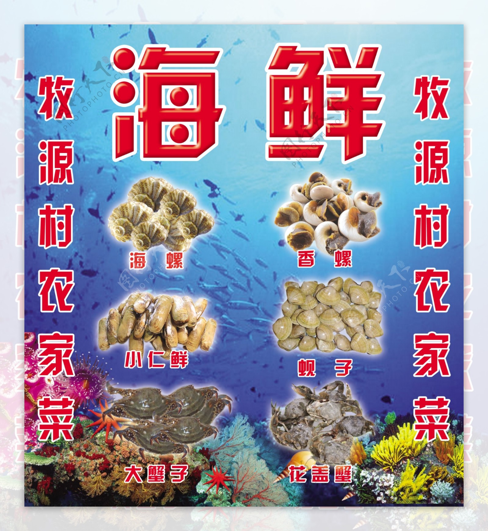 海鲜香螺螃蟹蚬子海鲜