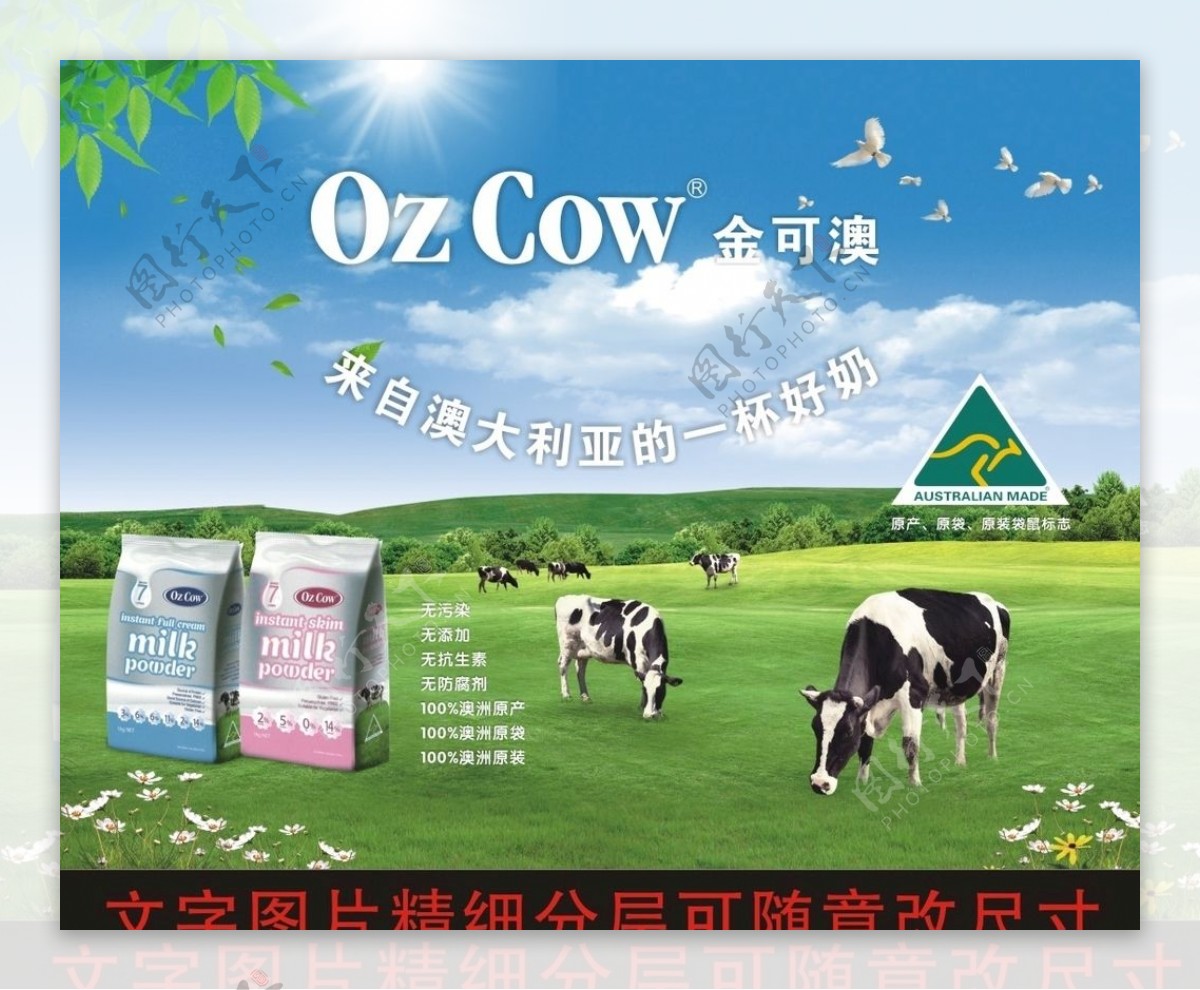 ozcow背景墙