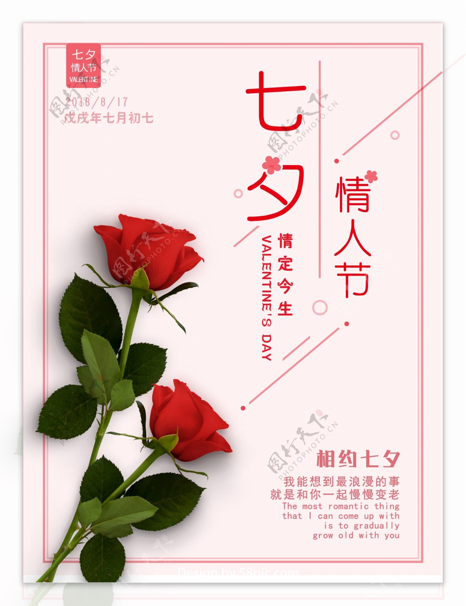 粉色清新浪漫七夕情人节红玫瑰