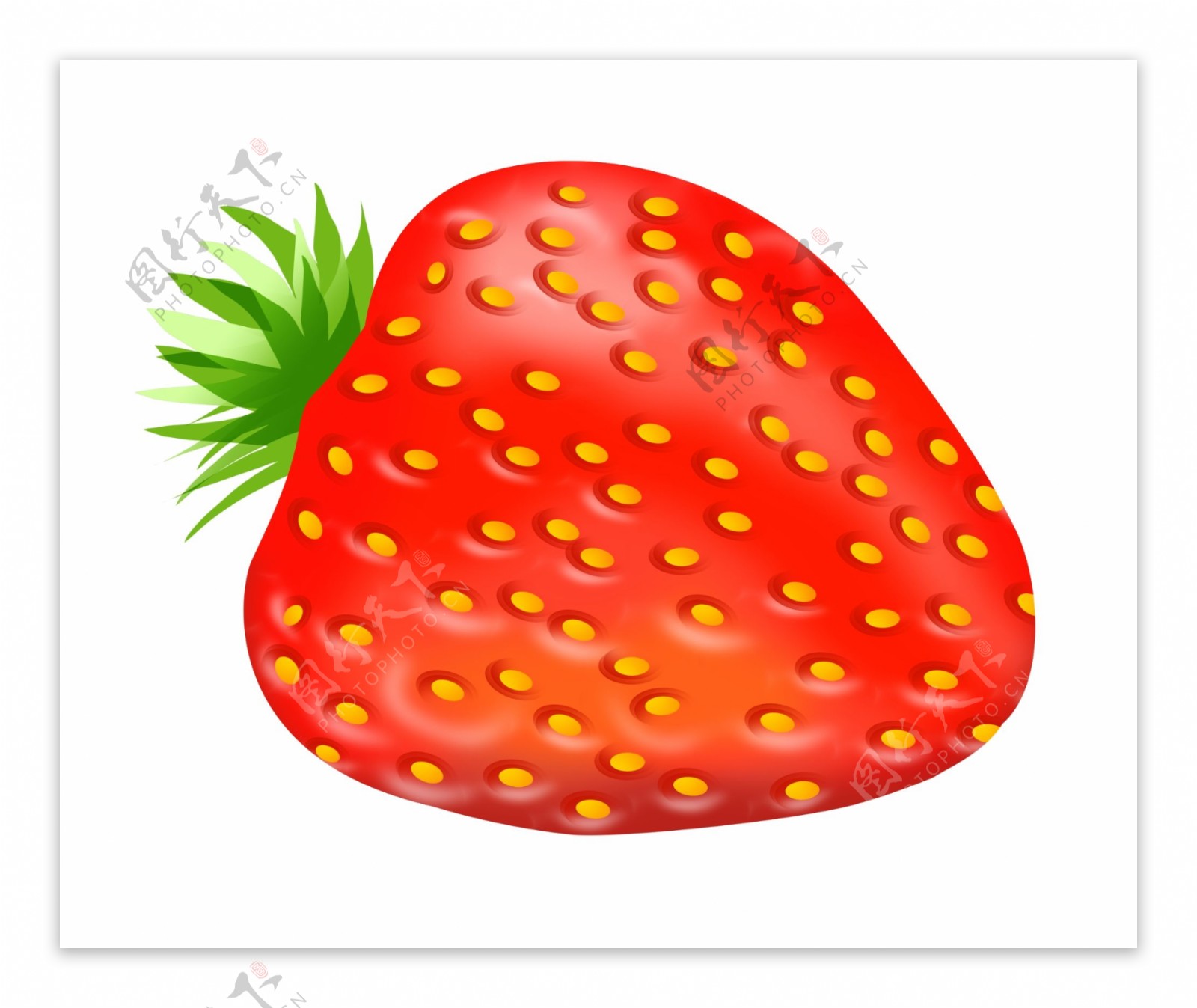水果草莓手绘插画