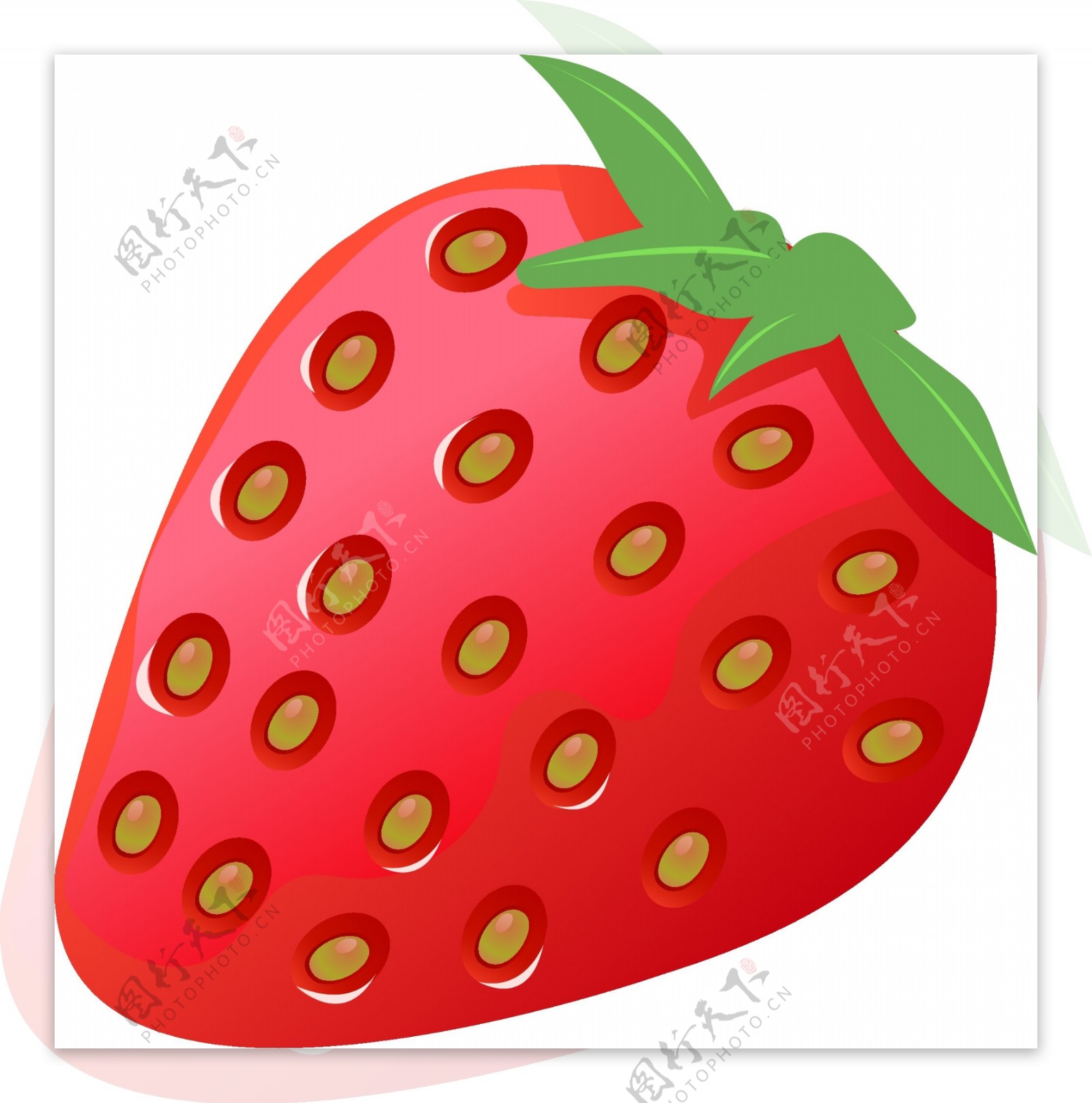 红色的仿真草莓插画