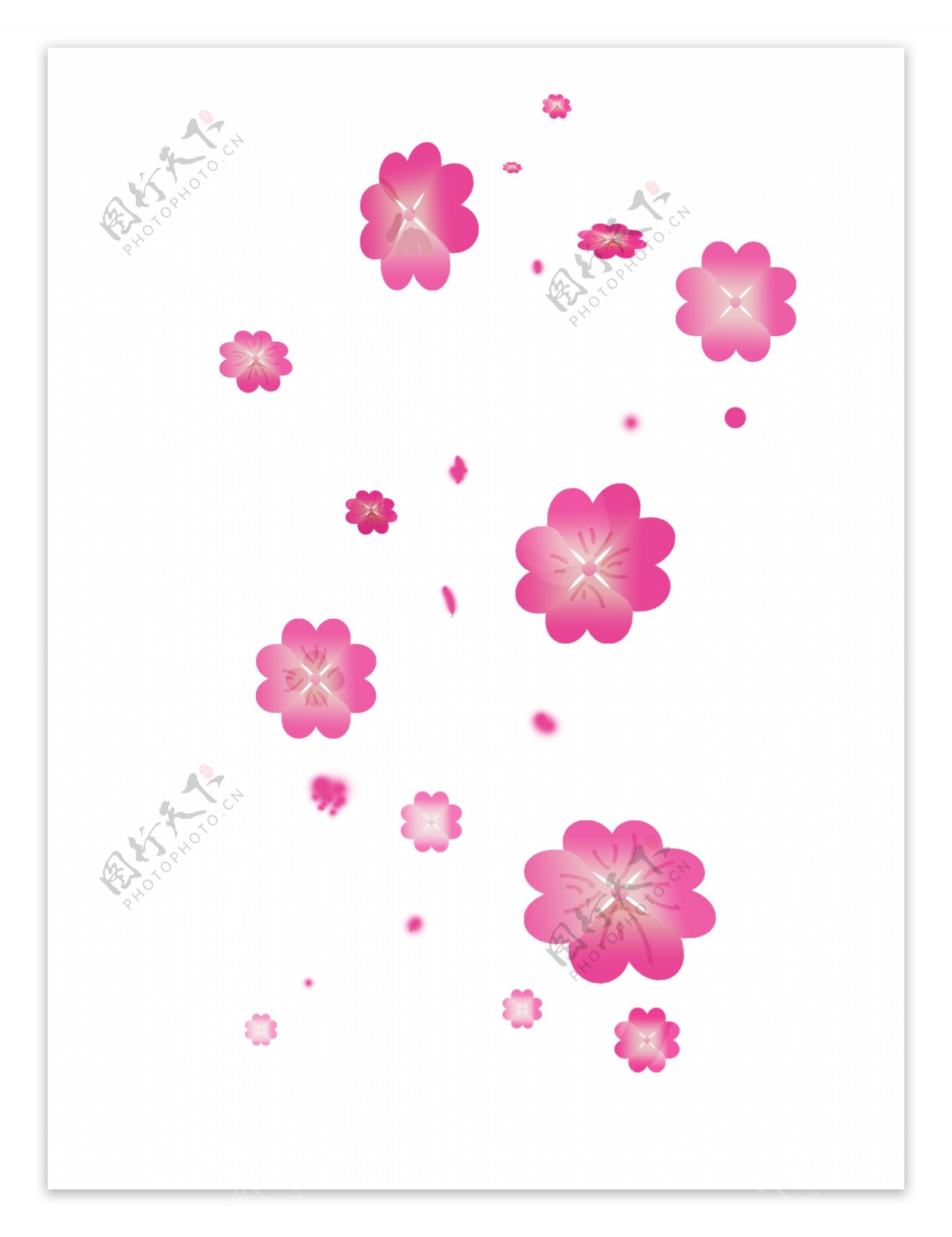 粉红色小花飘浮插画