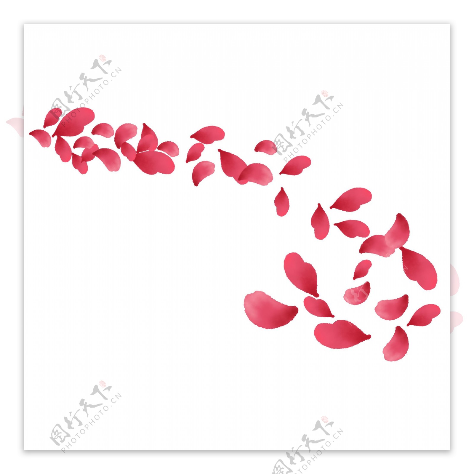 红色的漂浮花瓣插画