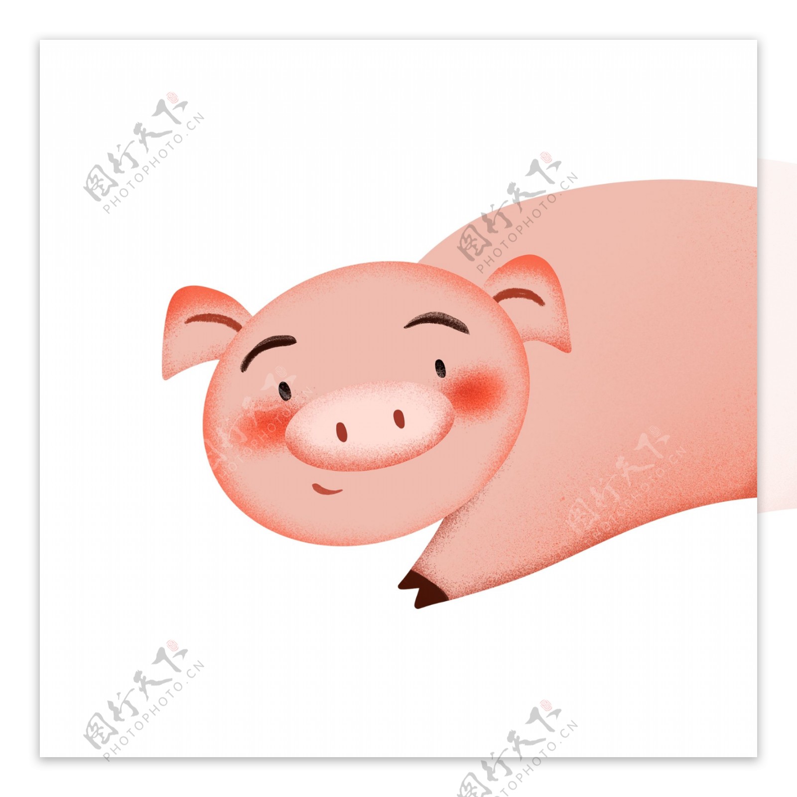 卡通手绘小清新小猪动物