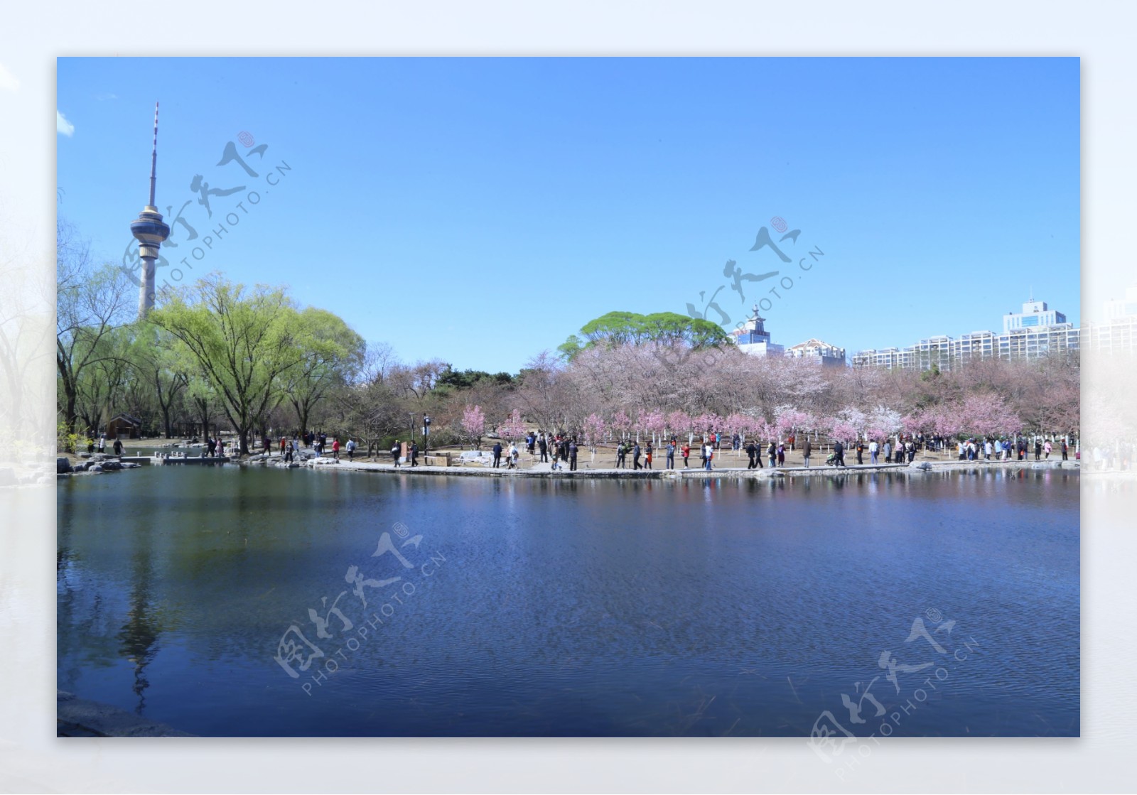 玉渊潭风景