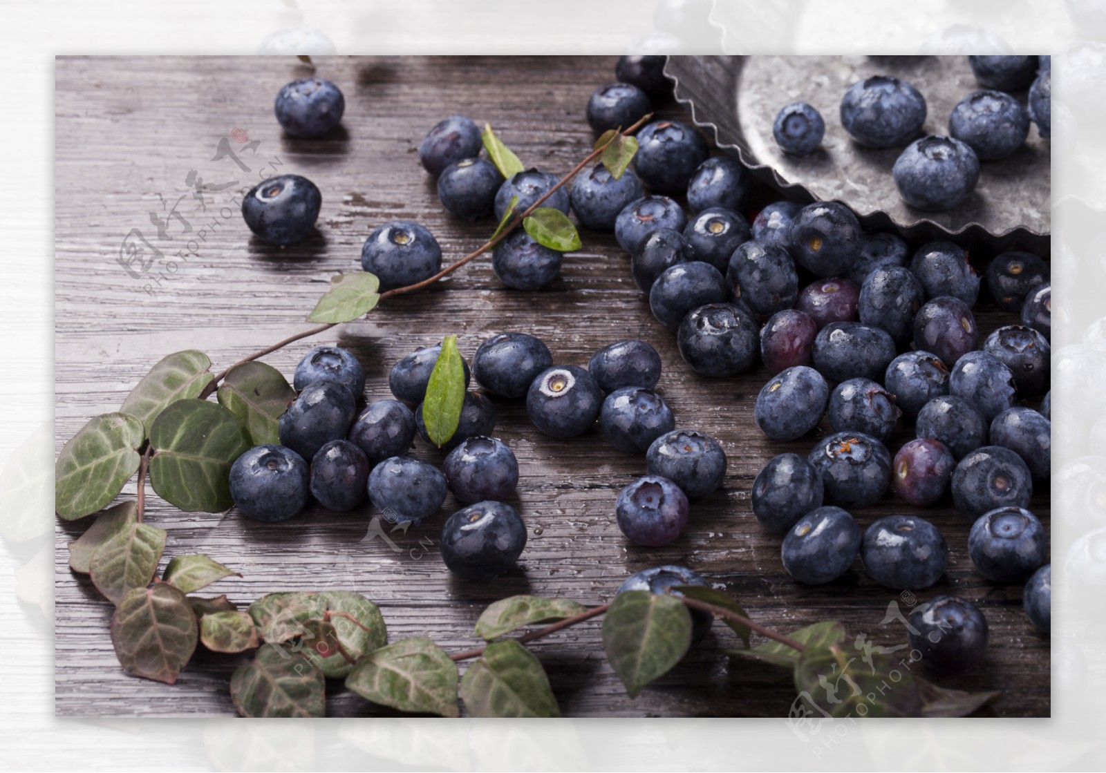 新鲜浆果蓝莓实物图摄影图1