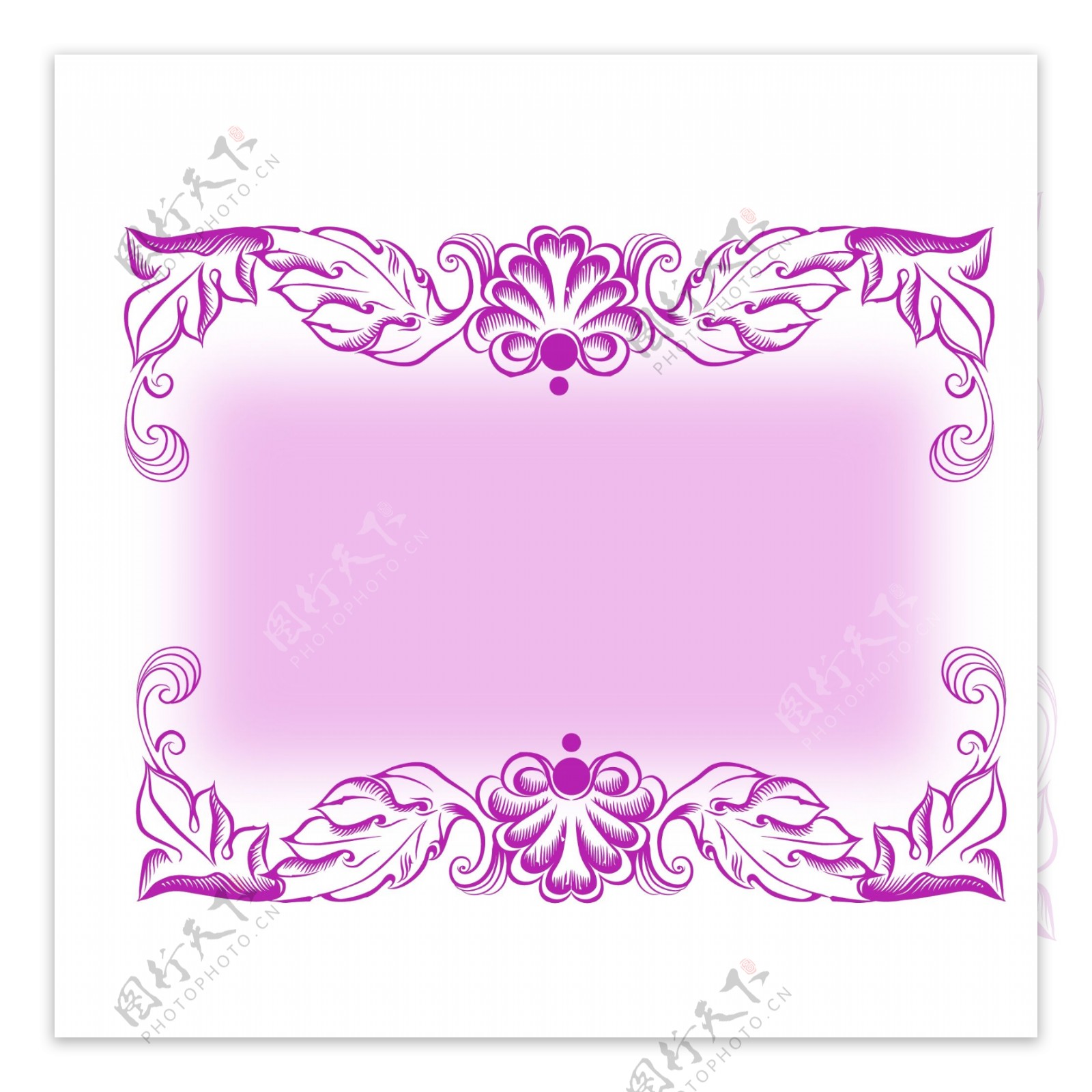 紫色边框花朵元素