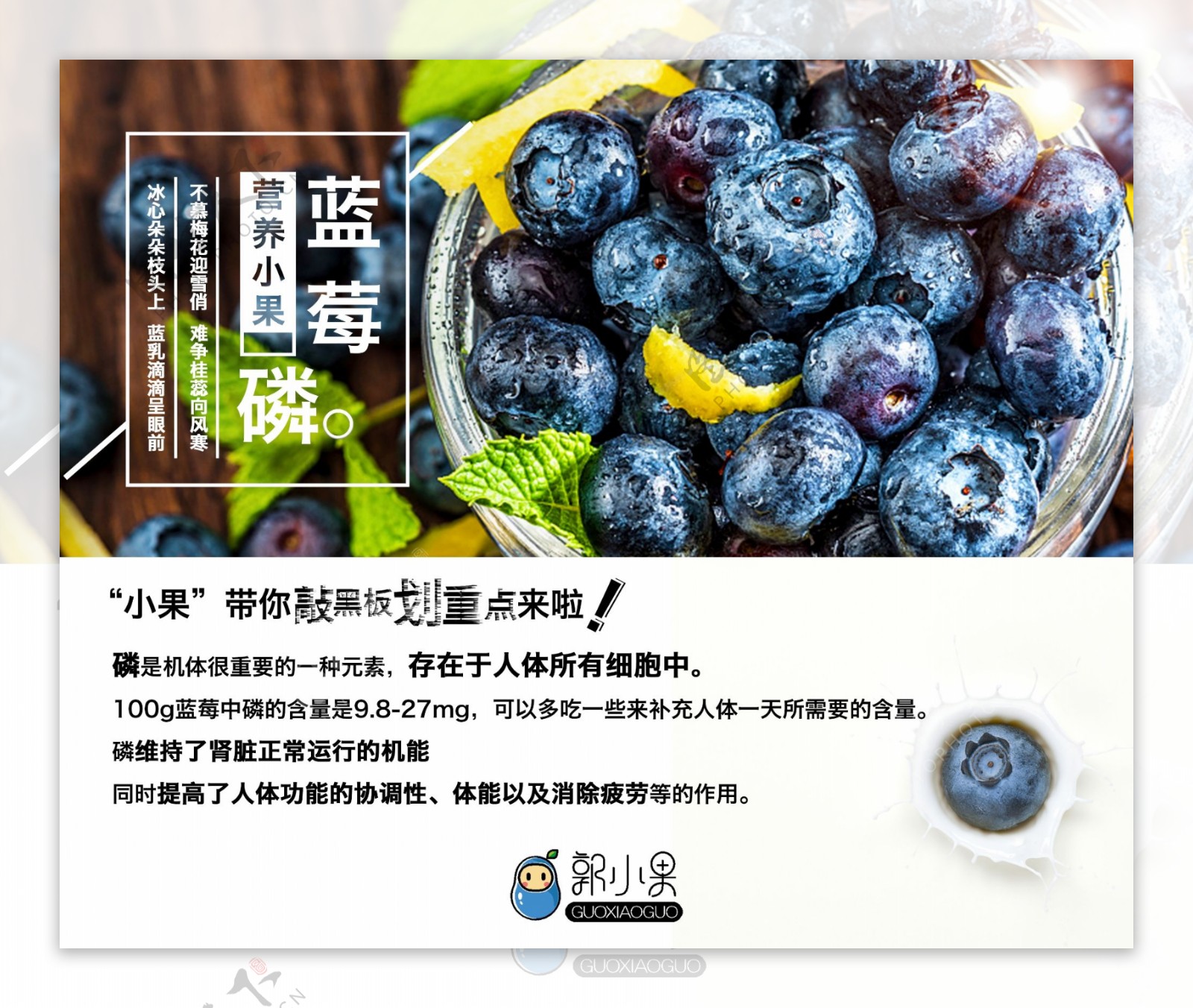 蓝莓海报