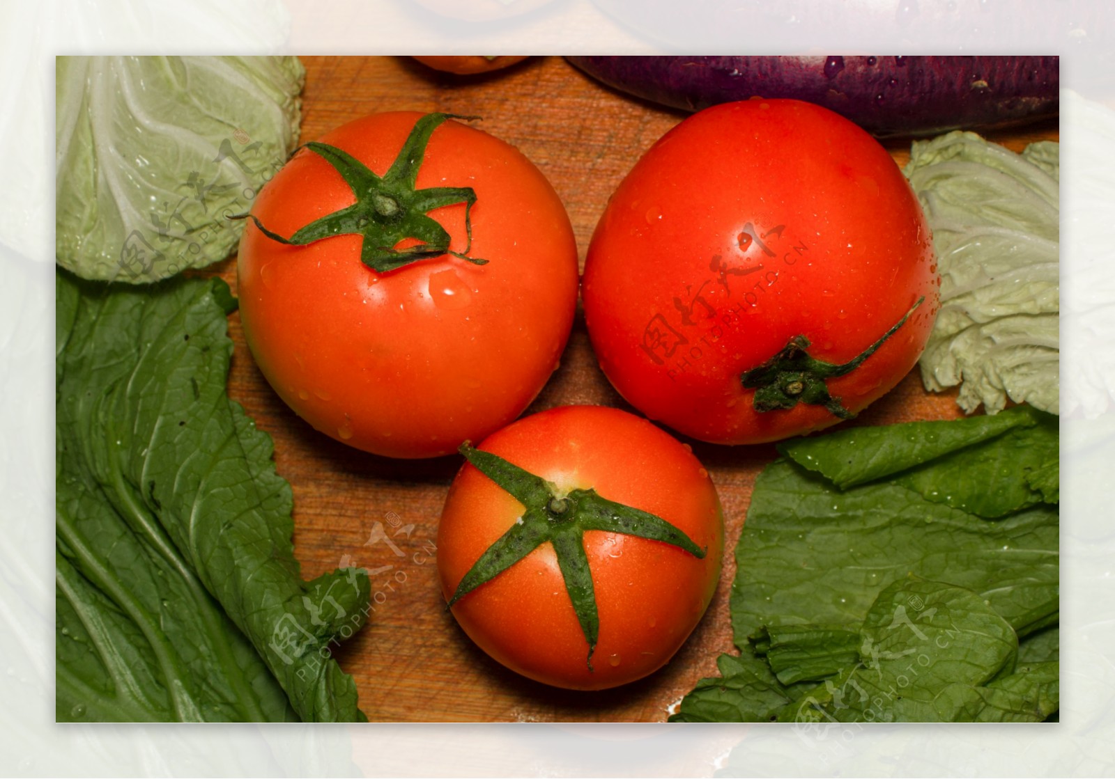 新鲜的西红柿食材照片