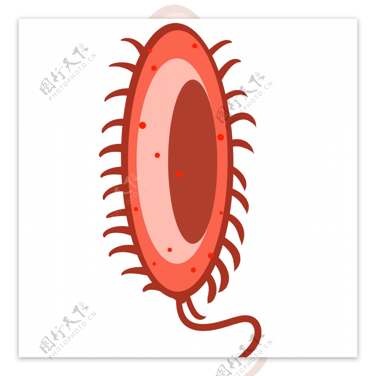 单眼细菌红色插画