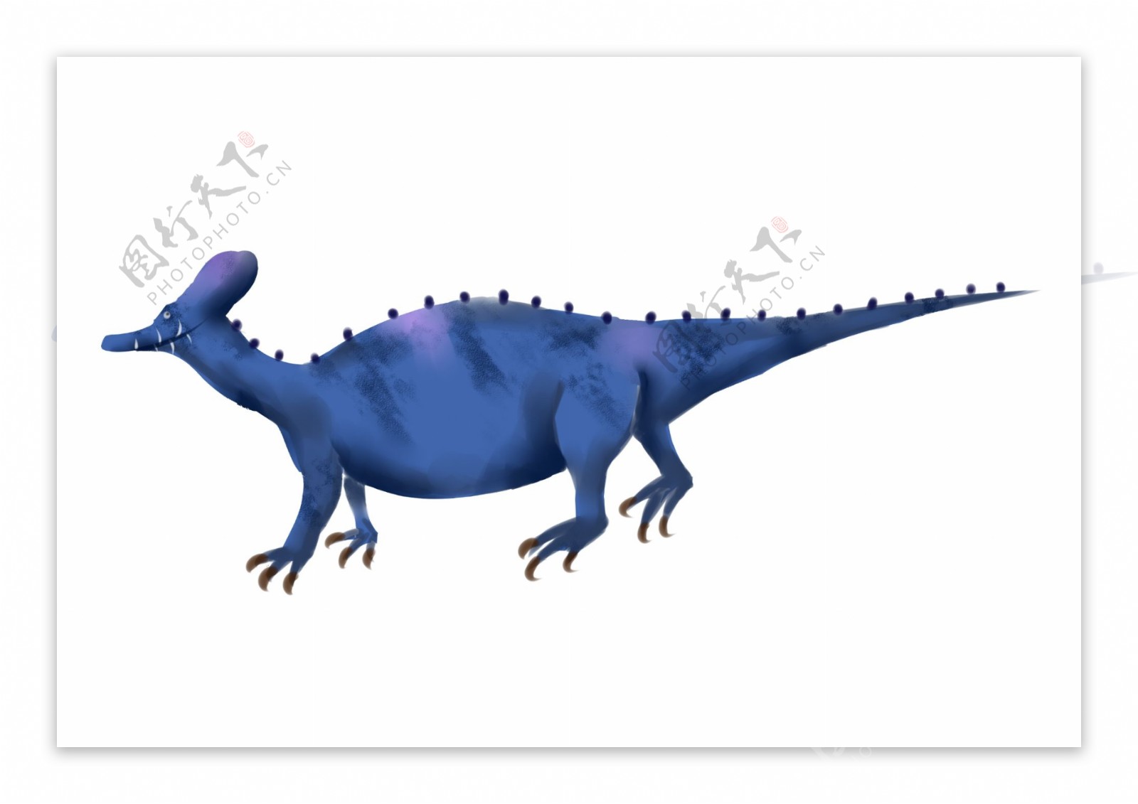 远古蓝色的恐龙插画