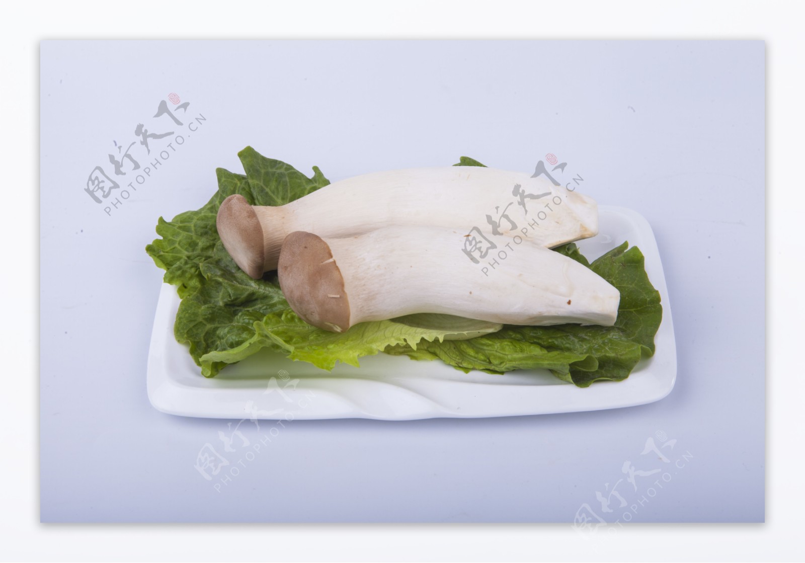 实物图摄影图蔬菜鸡腿菇1