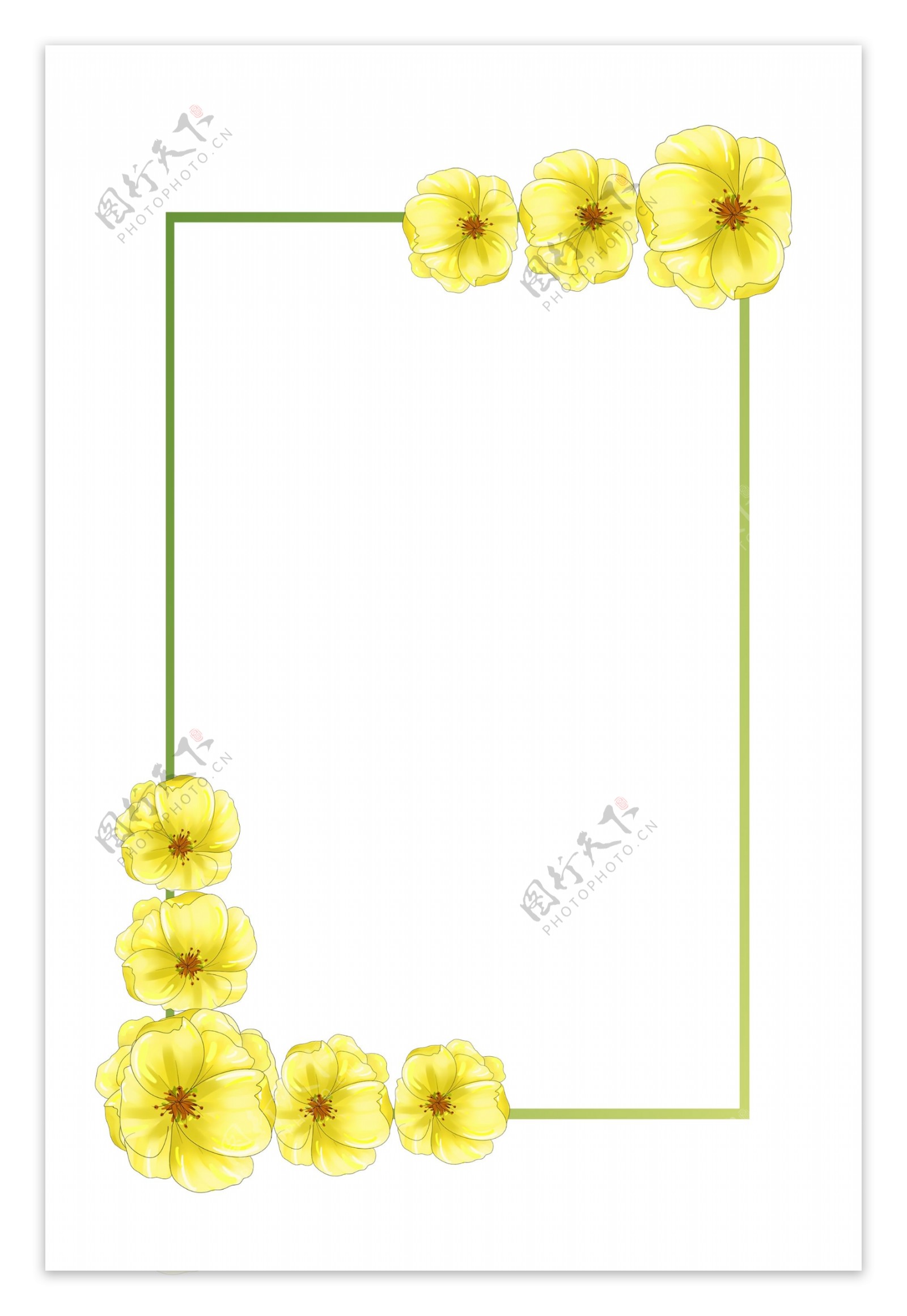 黄色牡丹花手绘装饰边框