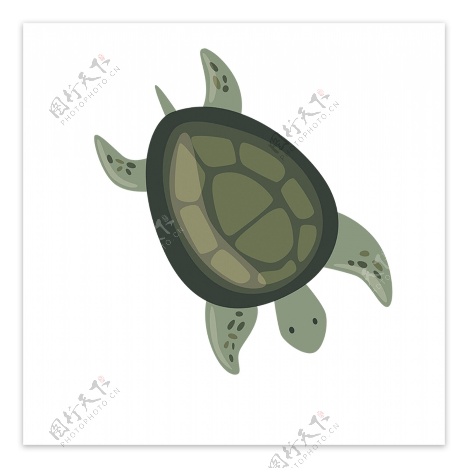 卡通绿色海龟下载