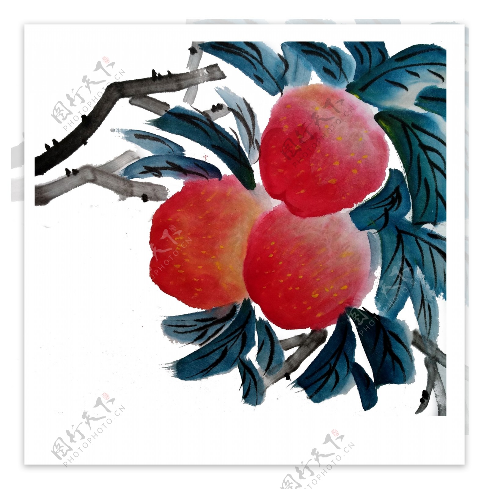 苹果水果鲜美甜红富士PNG水墨国画