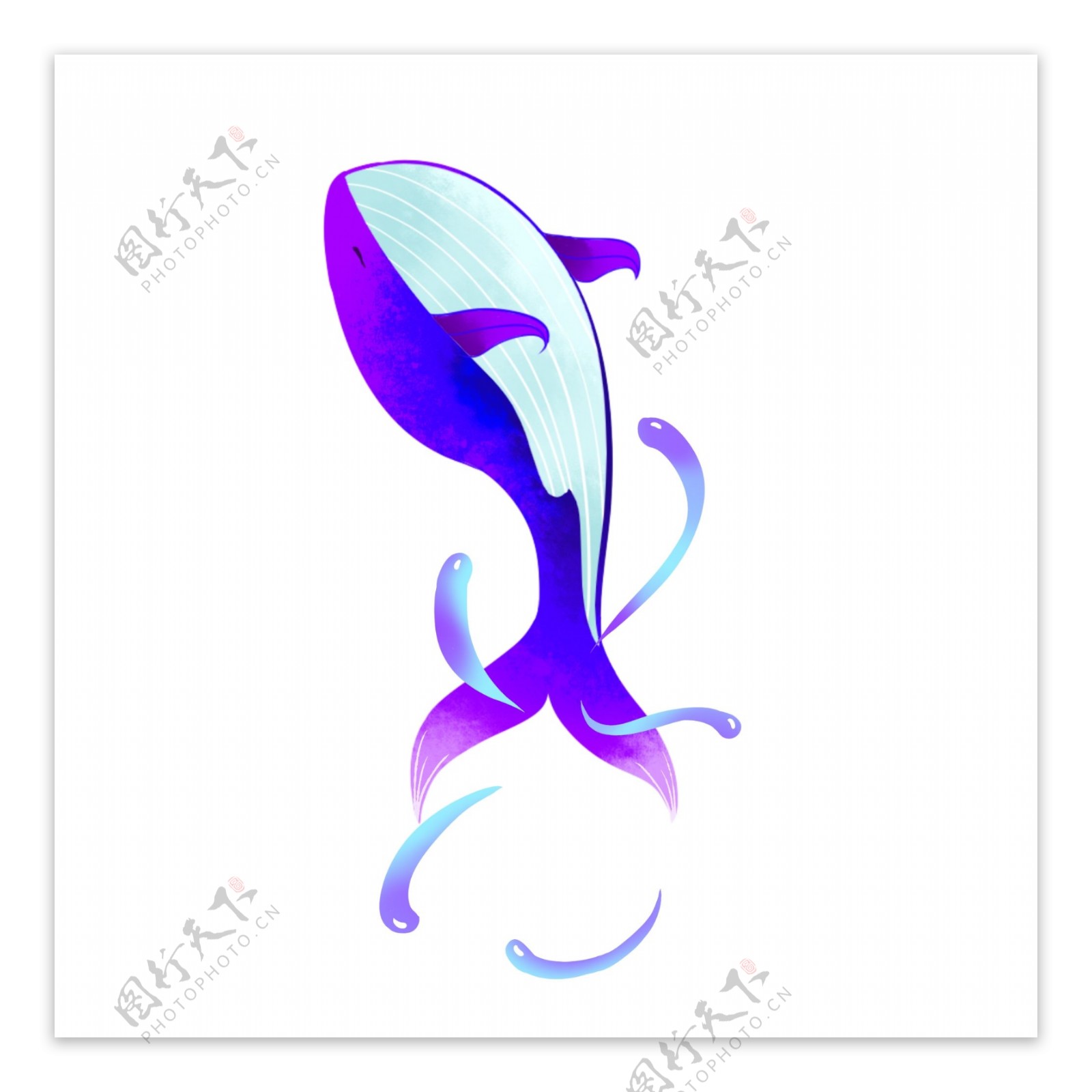 紫色游动的鲸鱼插画