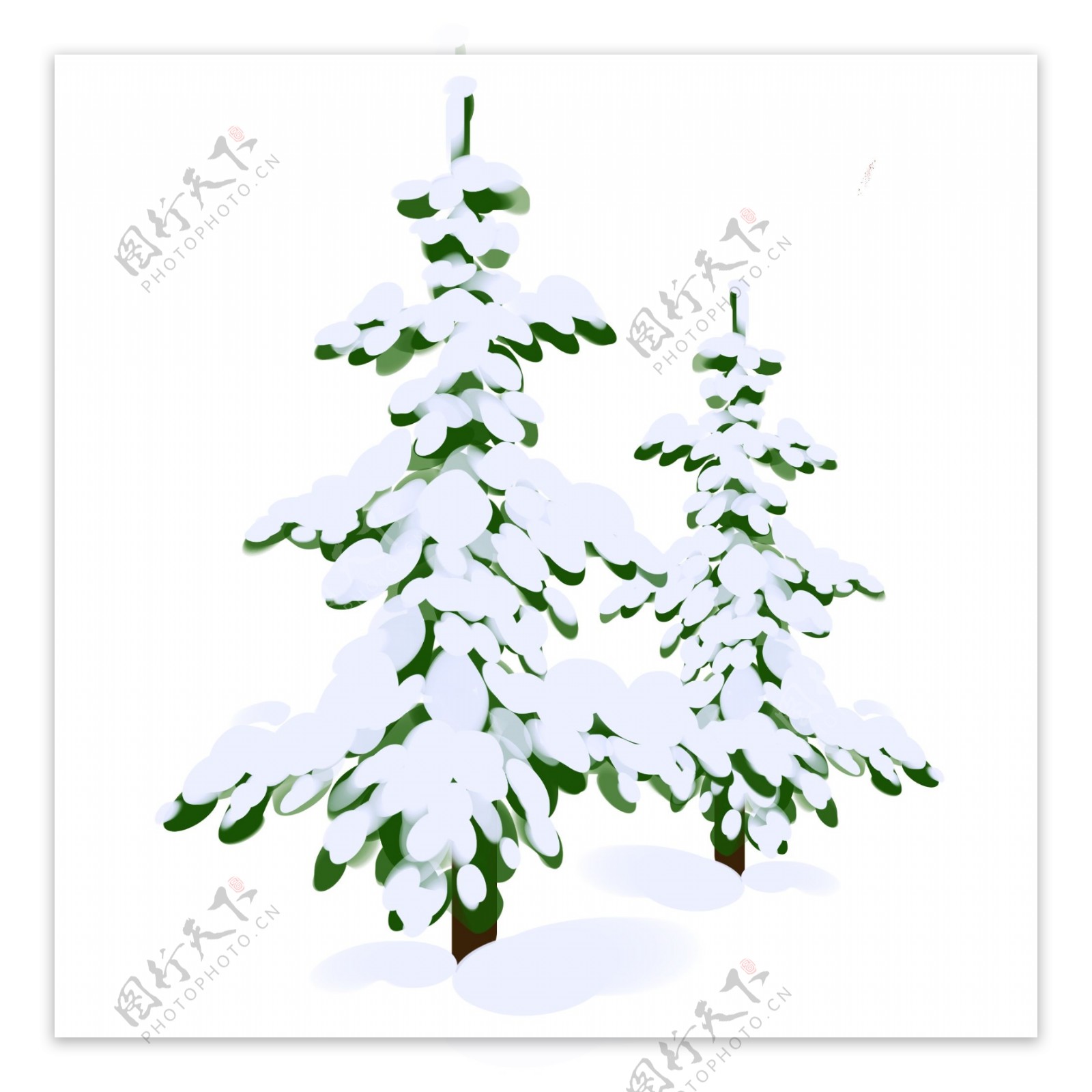 手绘落雪的松树插画