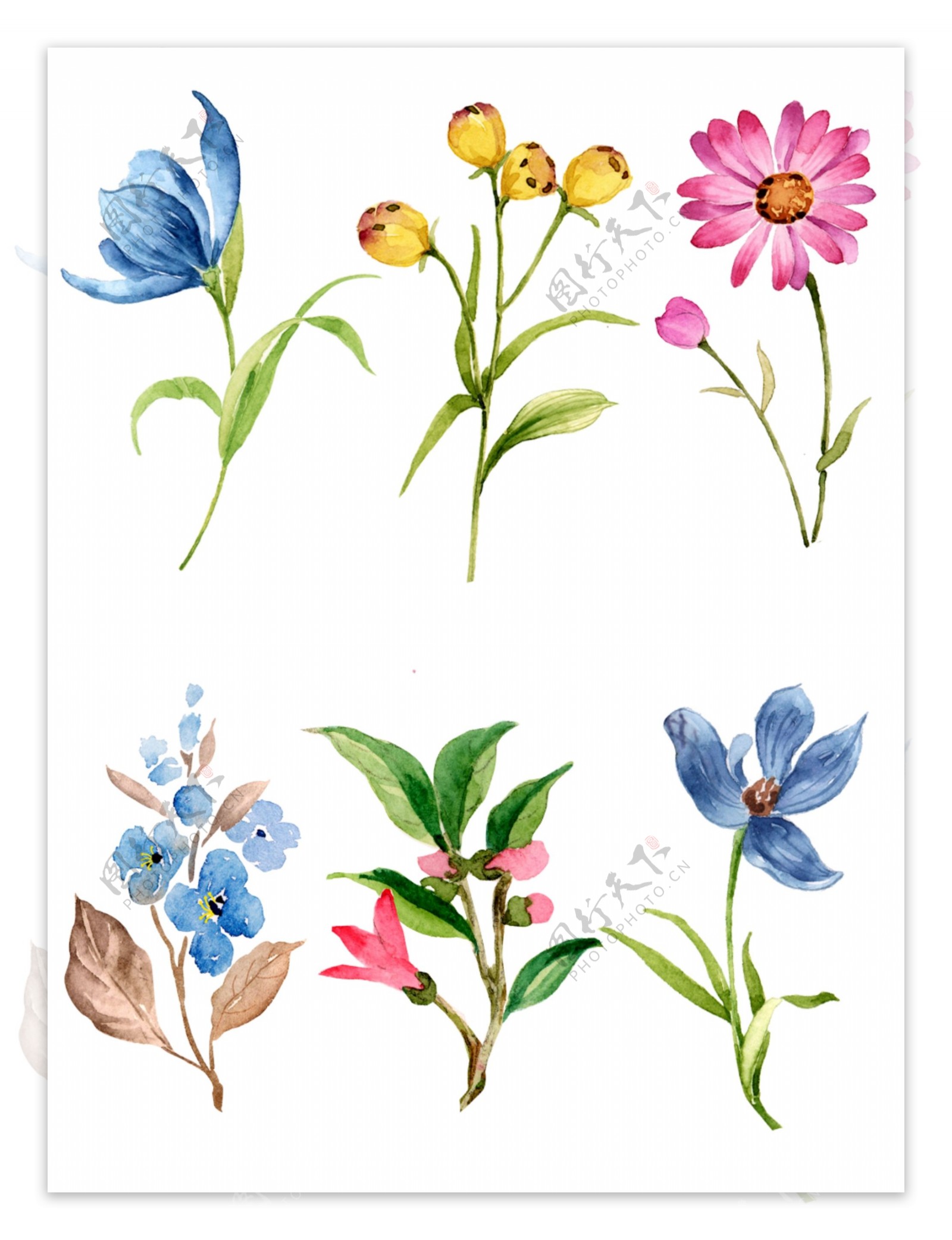小清新水彩手绘植物花卉春天元素