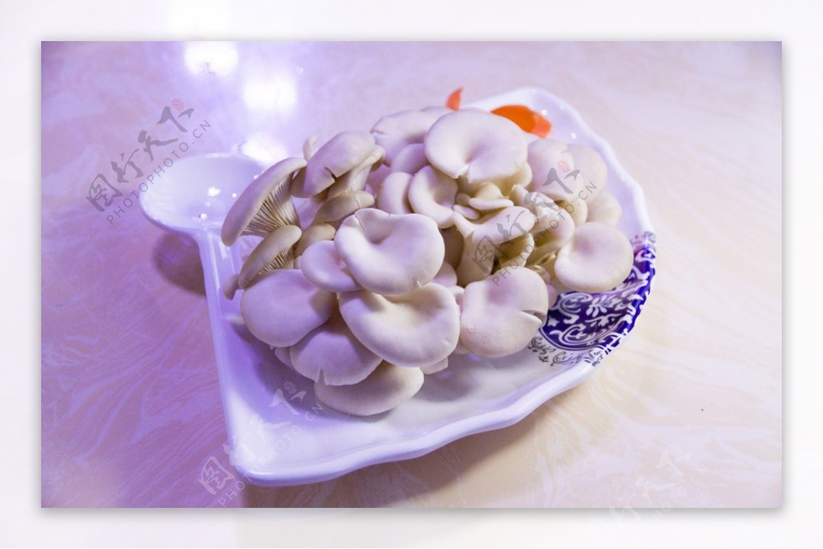 鲜菇蘑菇