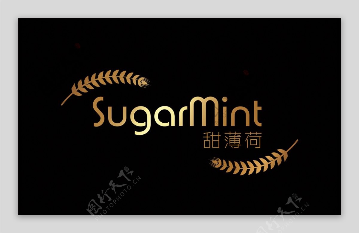 甜薄荷sugarmint