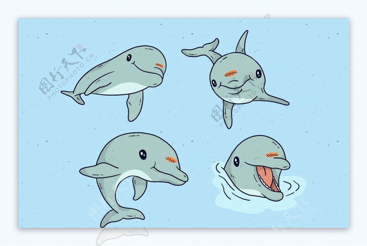 矢量海豚集合