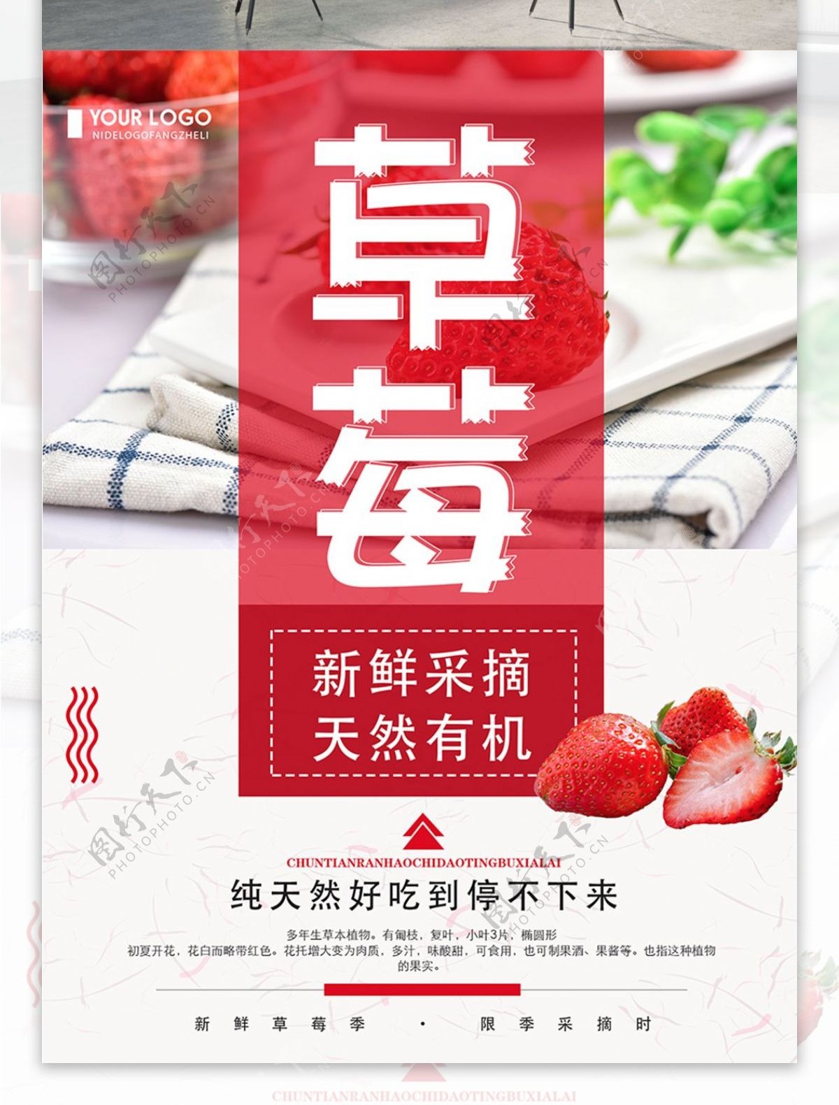 清新简约草莓美食宣传海报