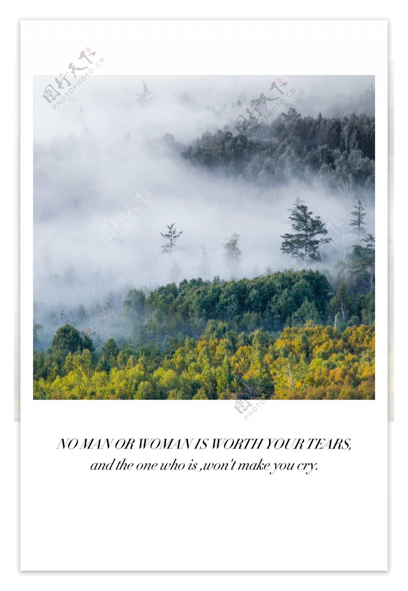 北欧意境云雾森林风景装饰画客厅