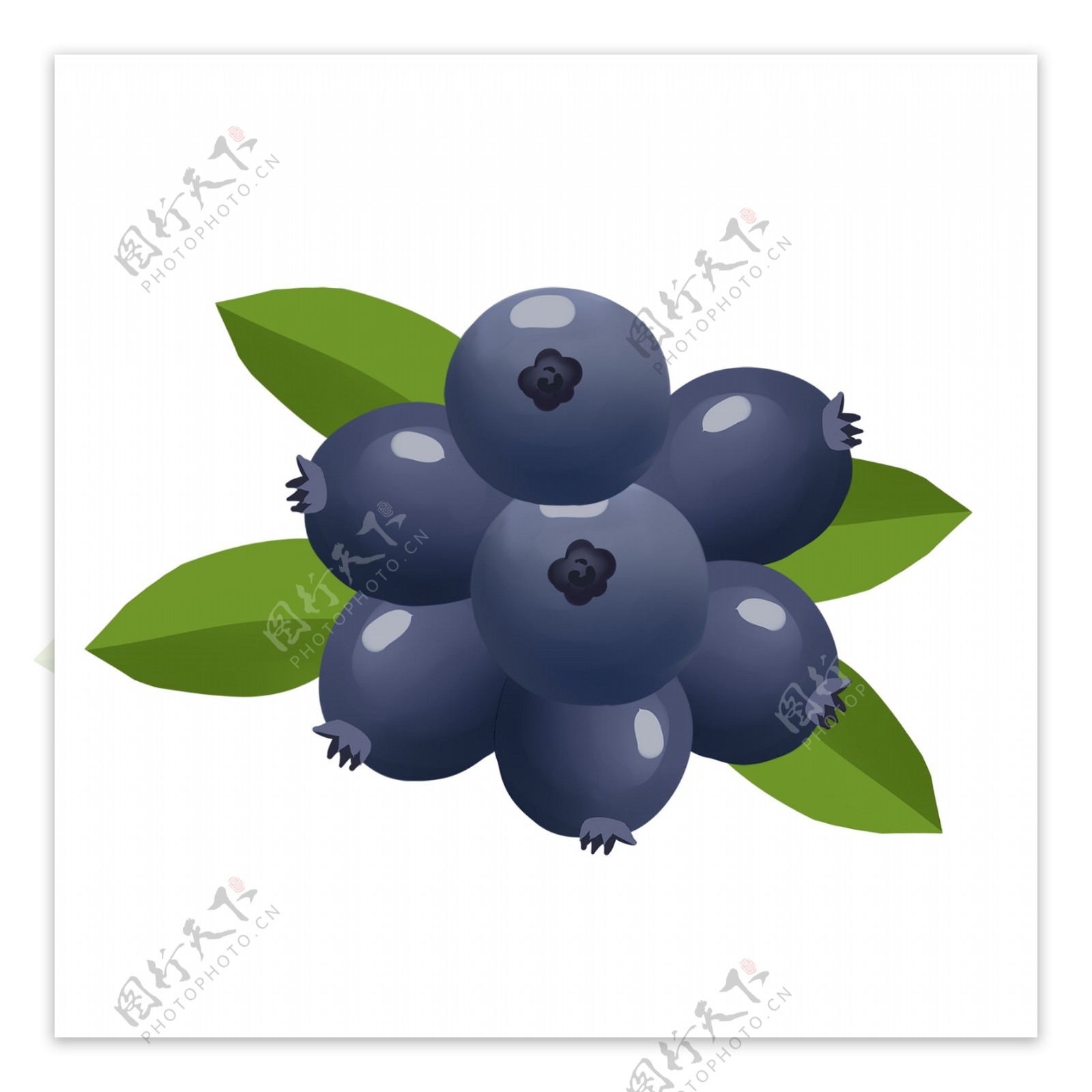 手绘夏季自然清新水果蓝莓免抠png