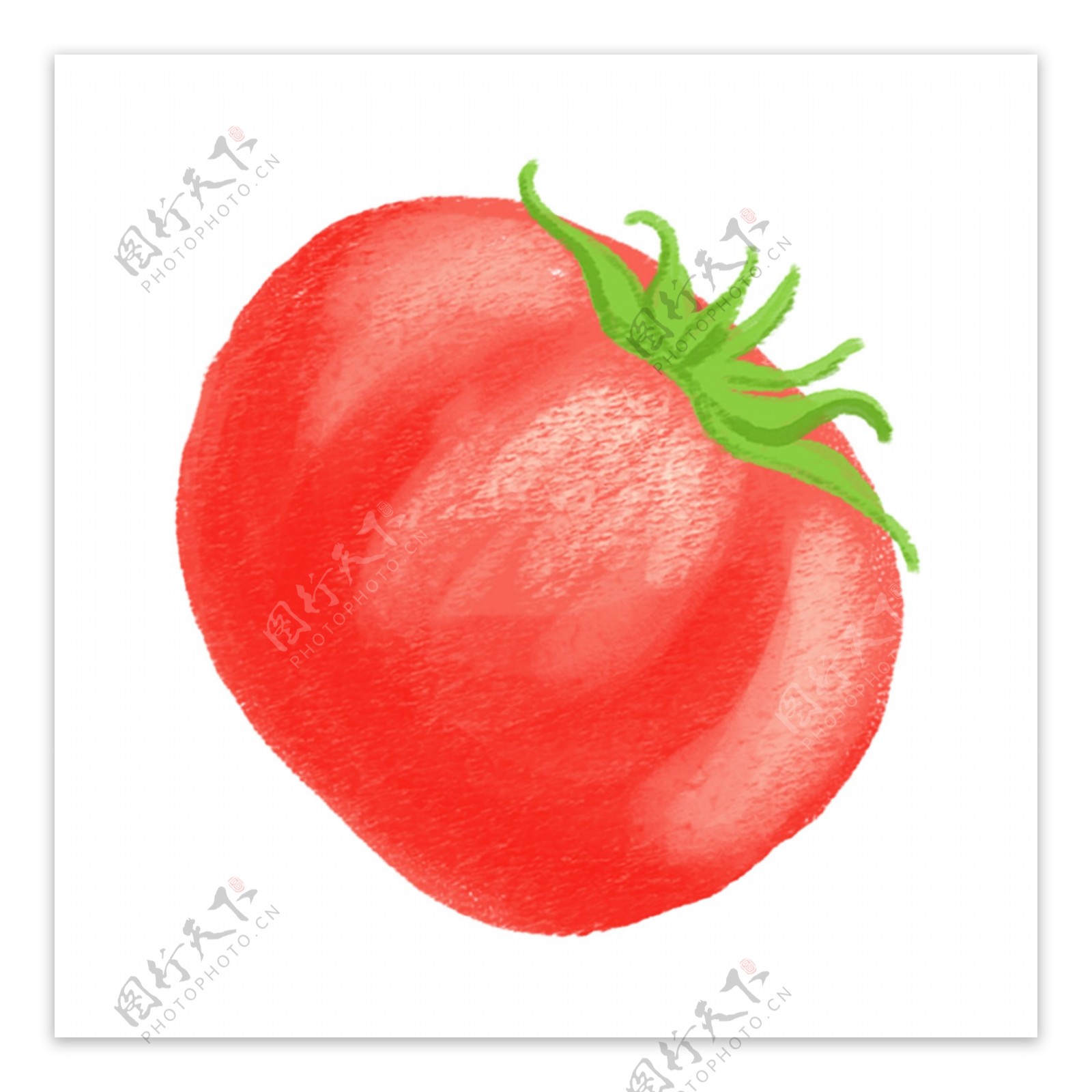红色蔬菜番茄装饰