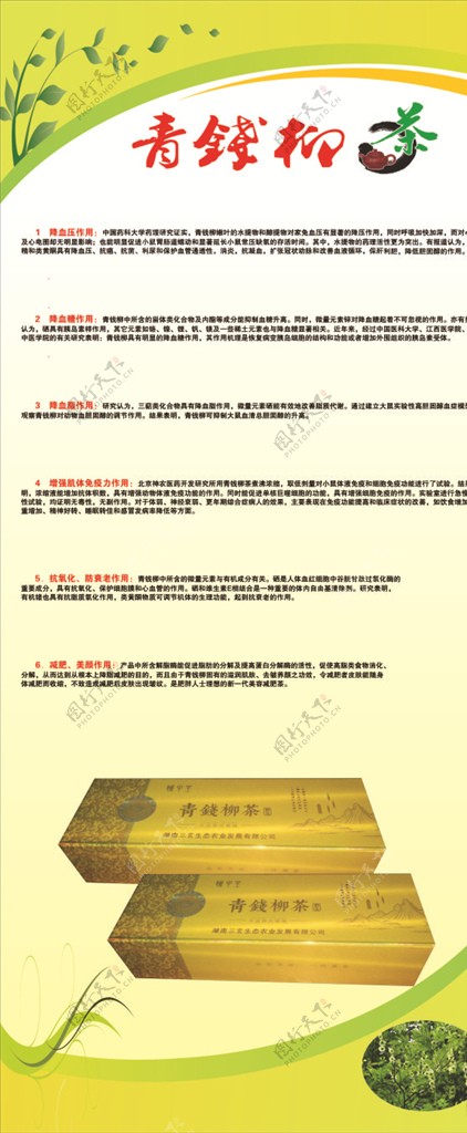 青钱柳茶功效