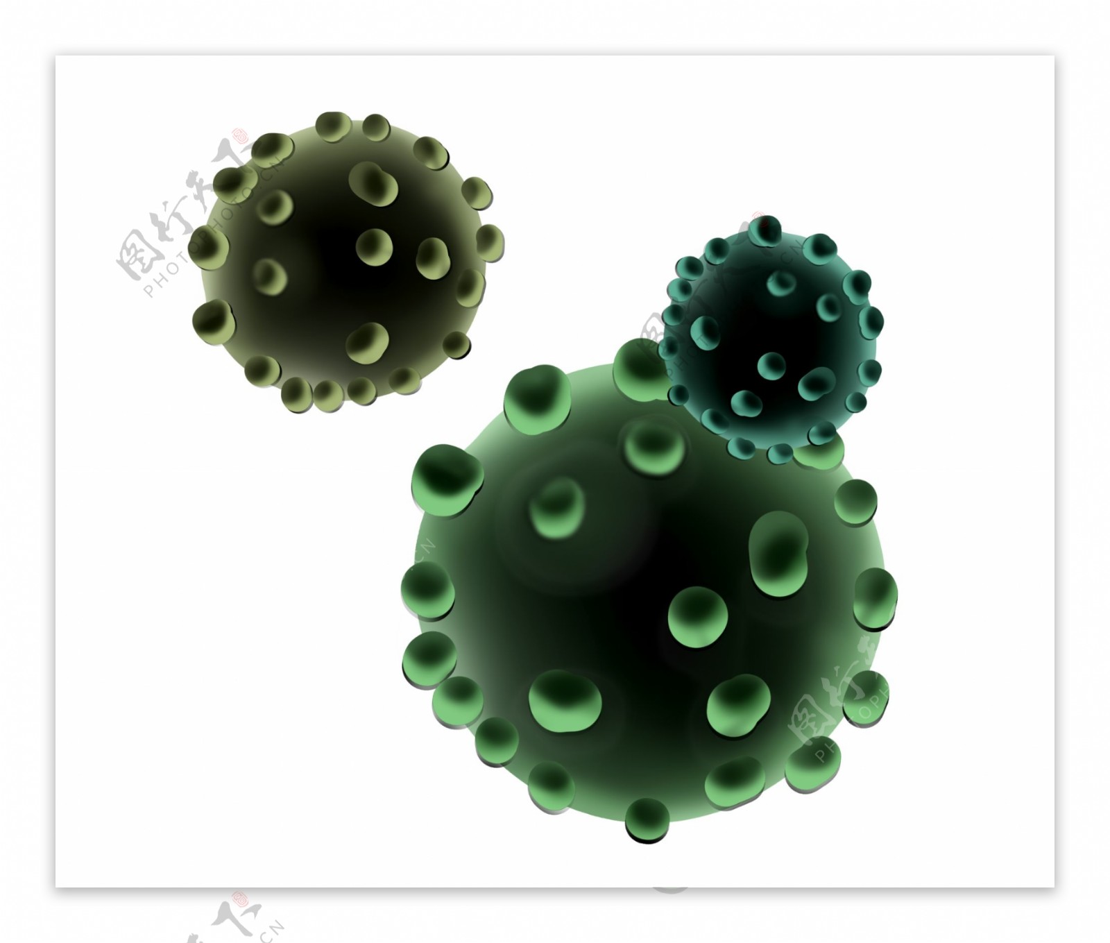 细菌细胞膜的插画