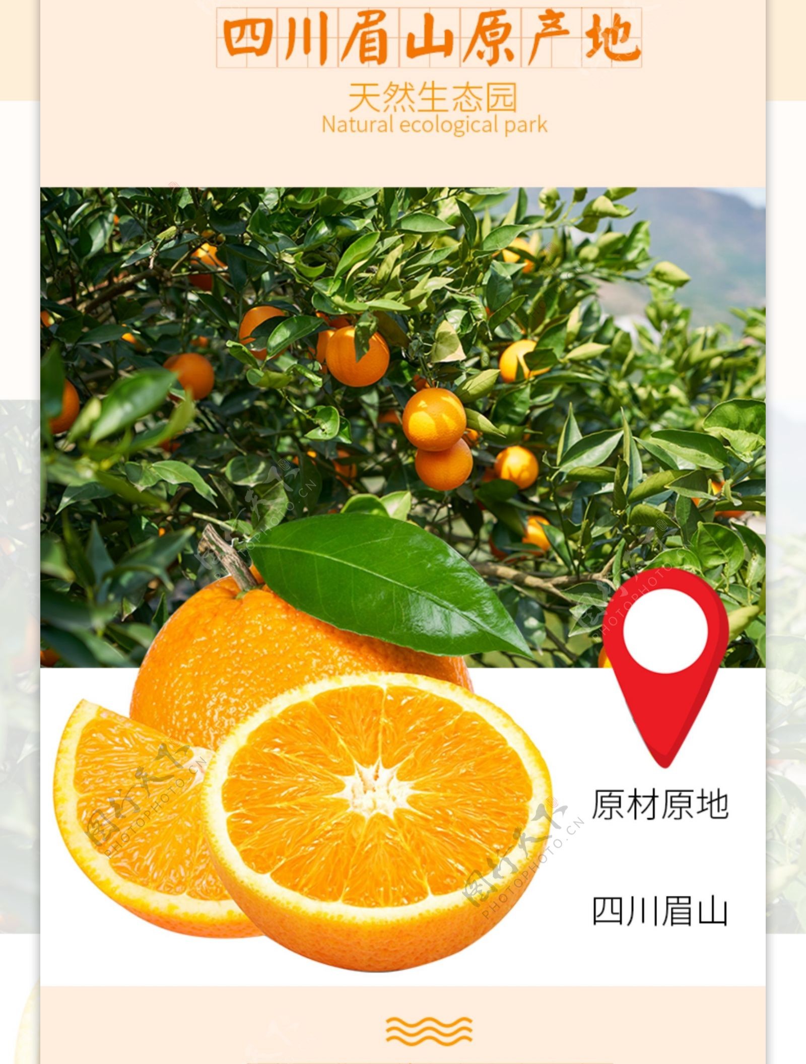 美味新鲜橙子促销淘宝详情页