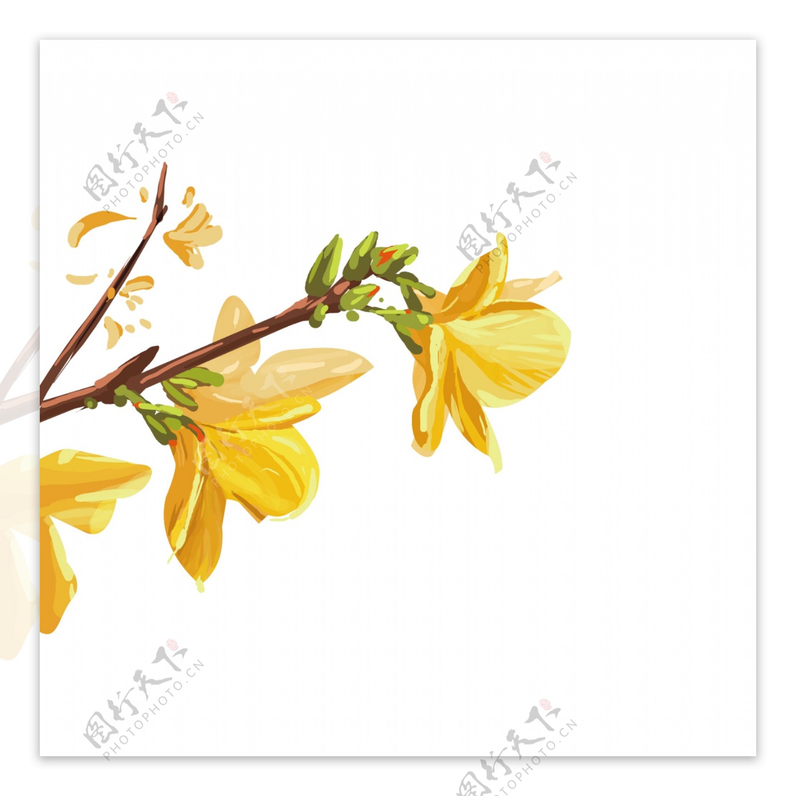 黄色树枝花元素设计