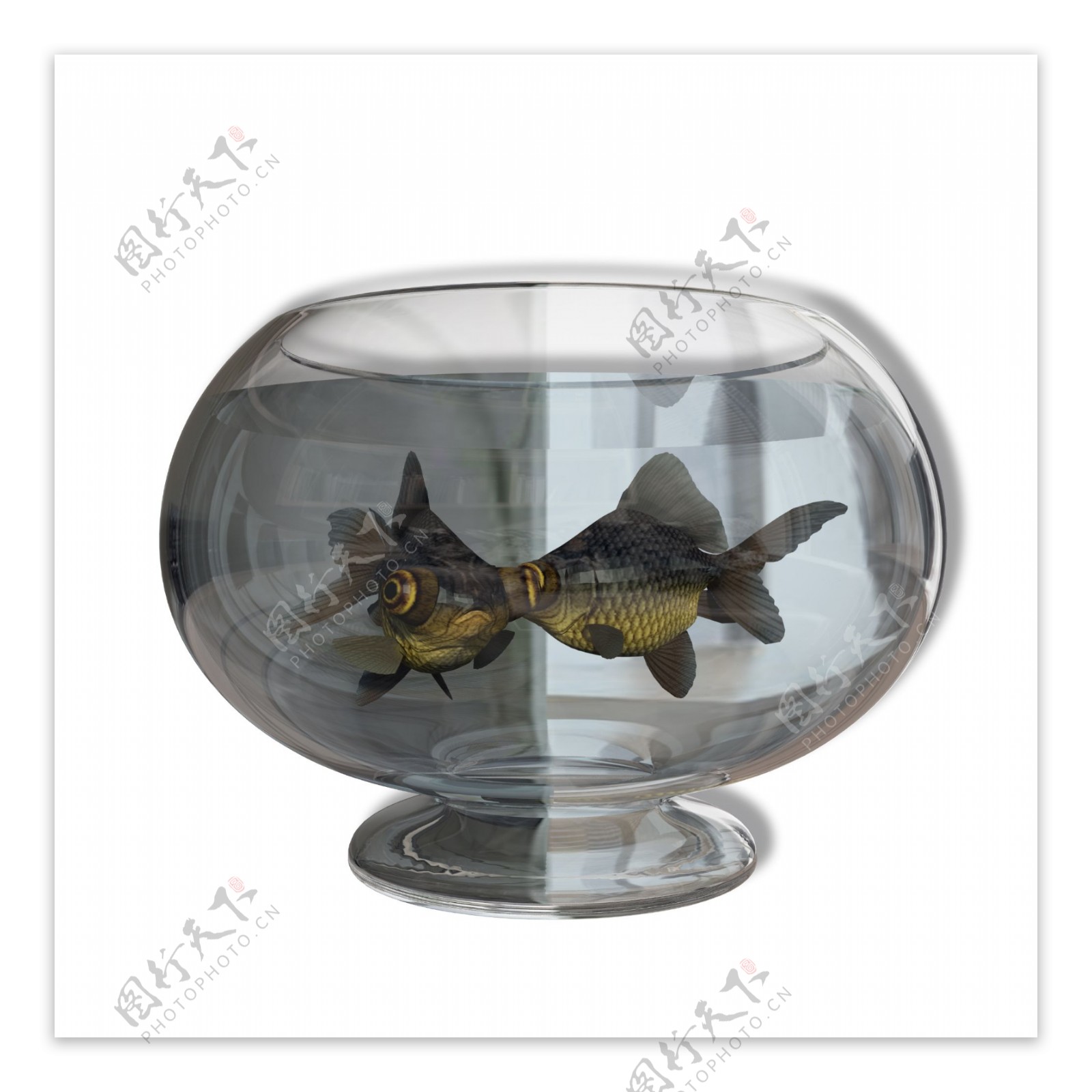 圆形玻璃鱼缸金鱼