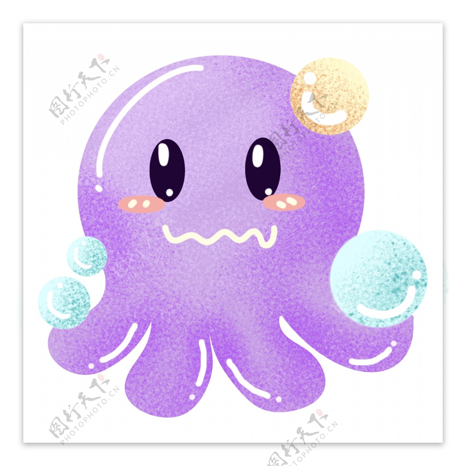 紫色海洋生物动物