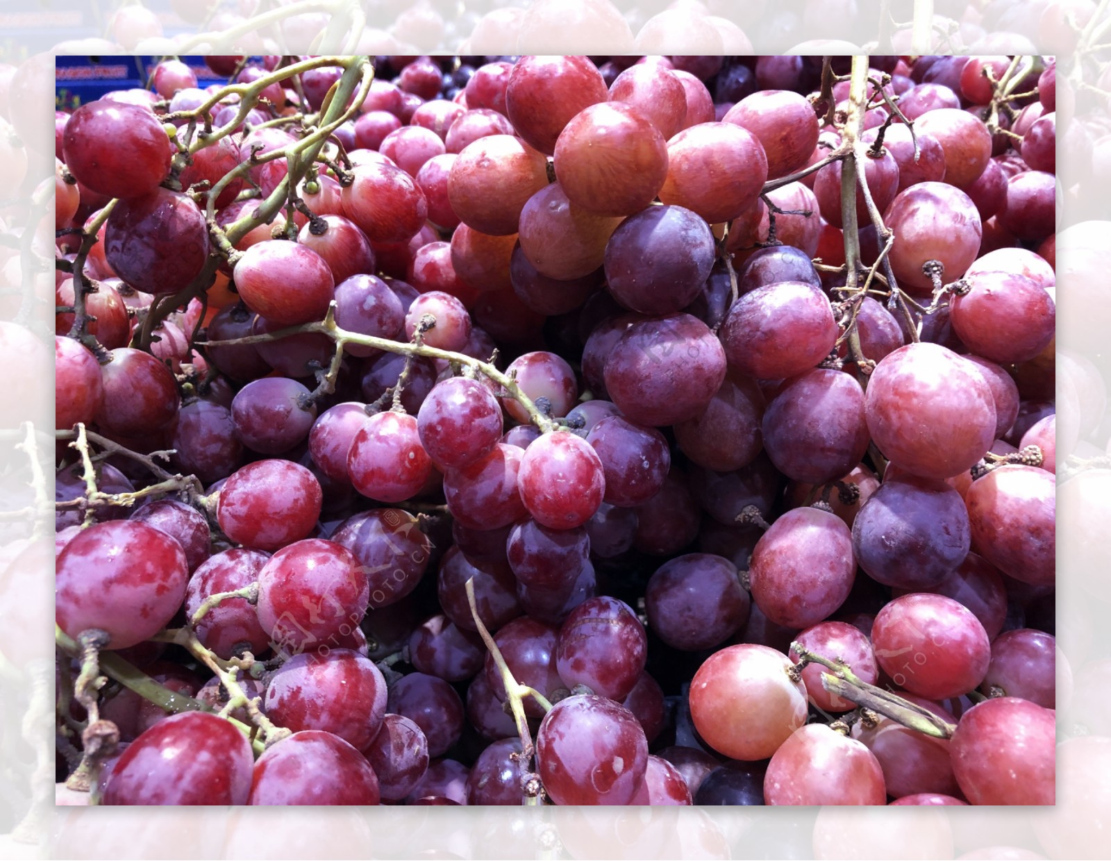 高清细节水果葡萄