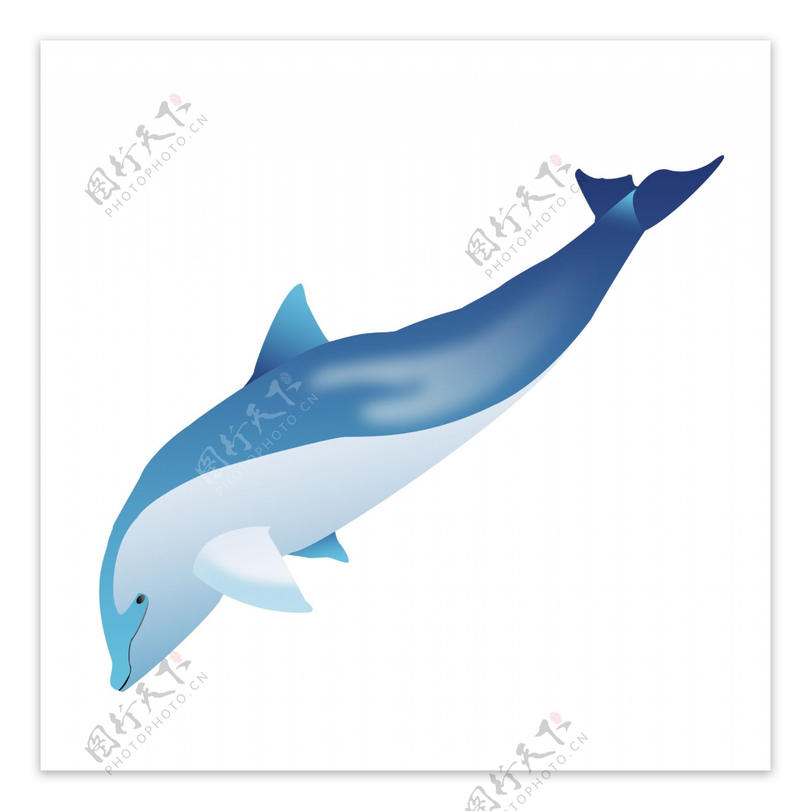 可爱蓝色海豚