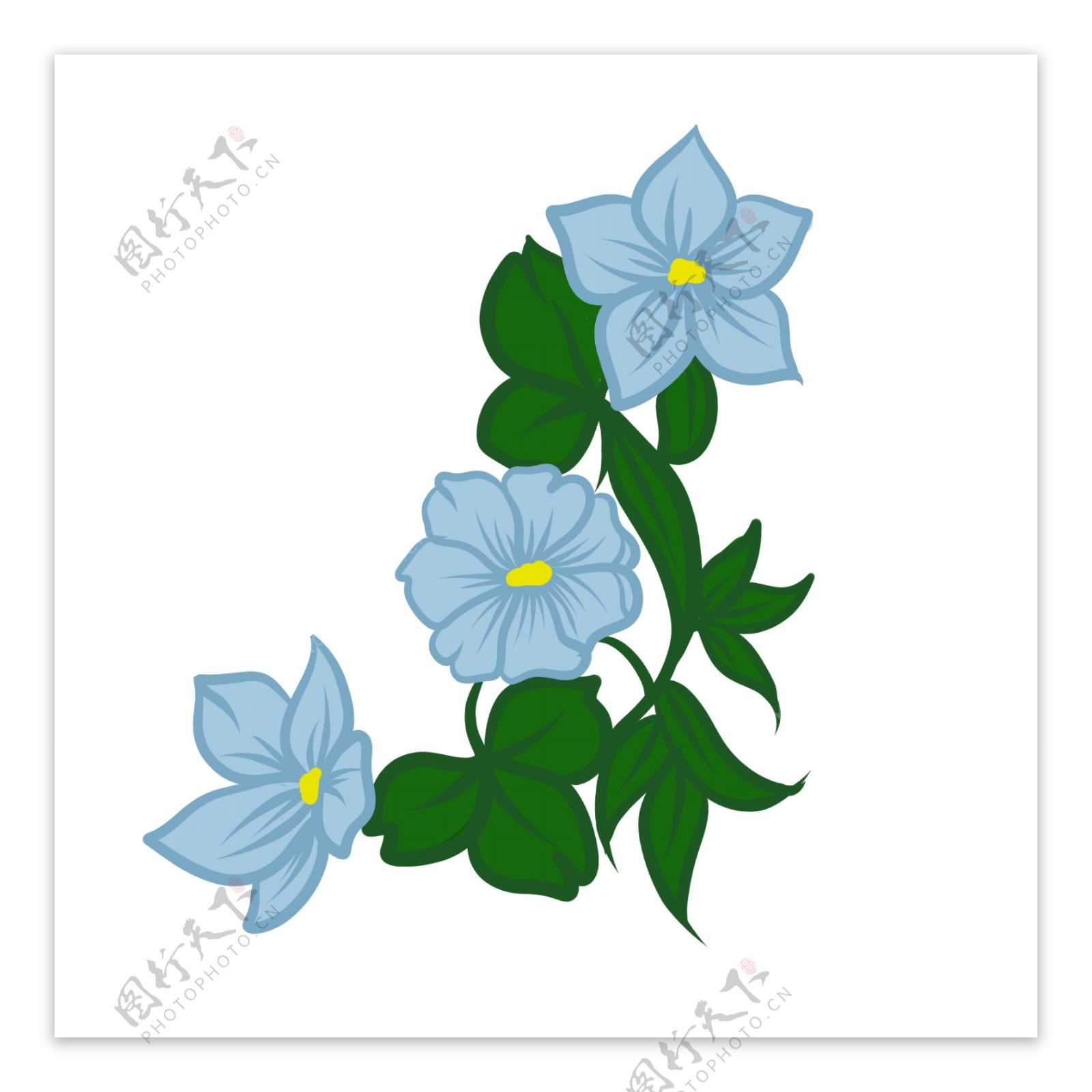 蓝色花朵花瓣